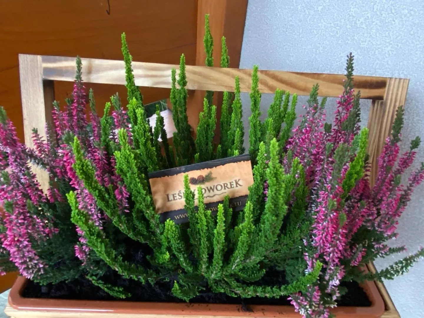 Leśny Dworek Zakopane