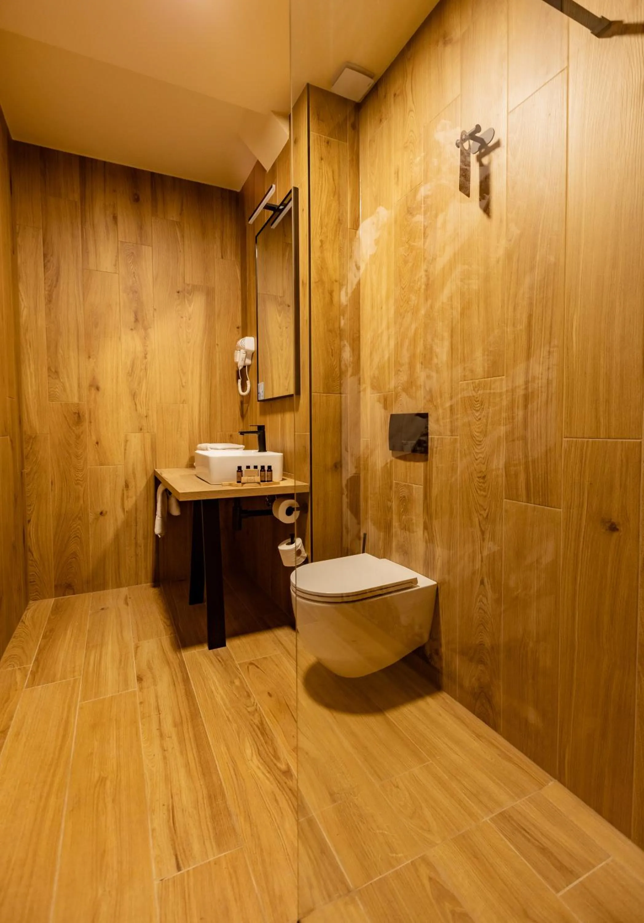 Shower in Hotel Kranjska Gora