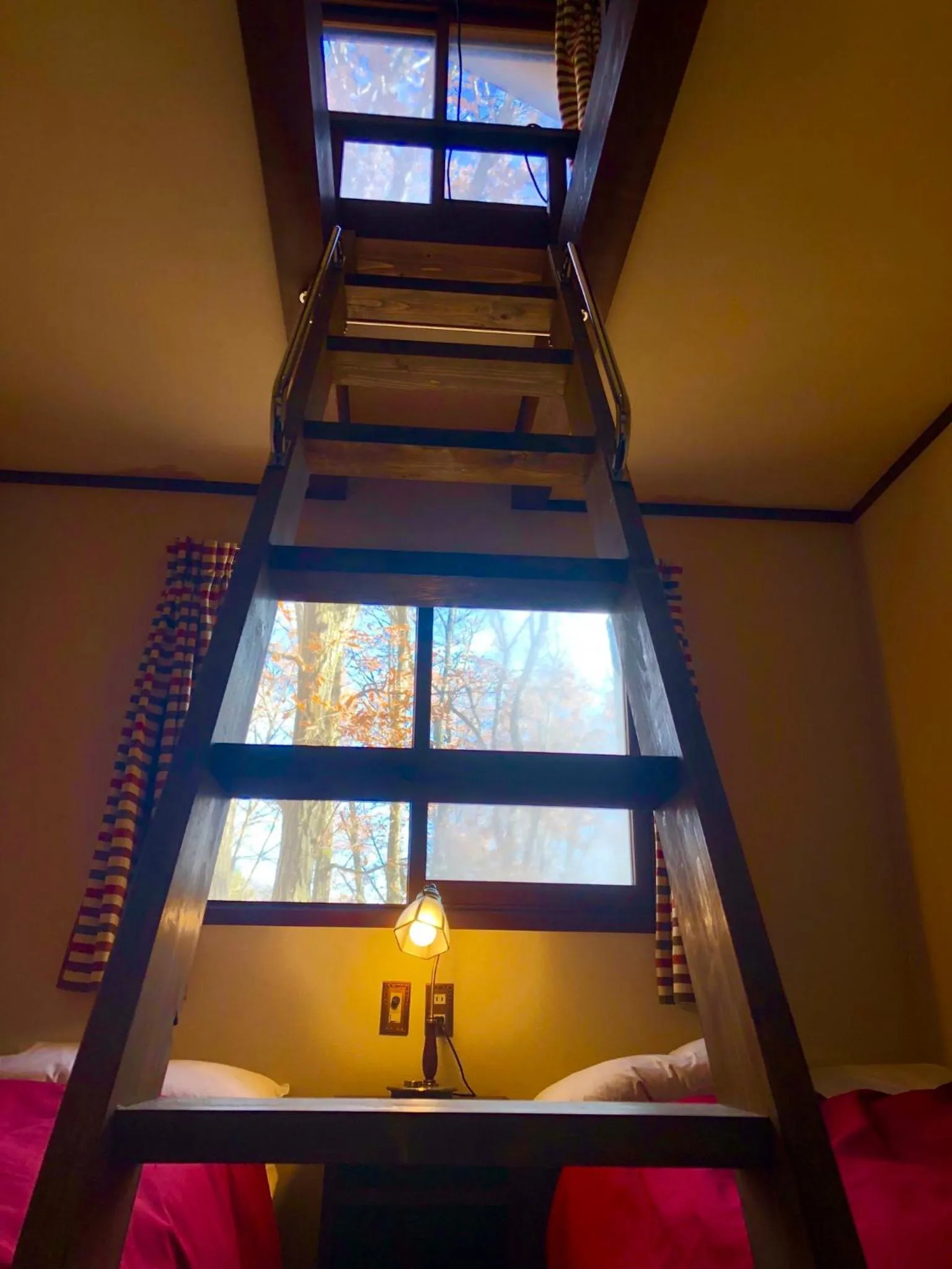 Photo of the whole room, Bed in The Guest House Japan Hakuba