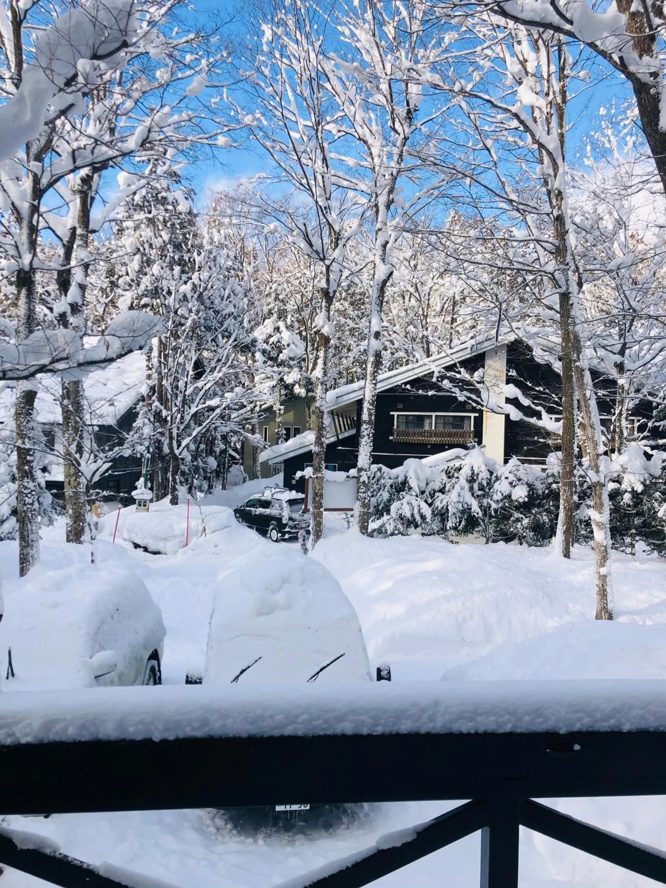 The Guest House Japan Hakuba