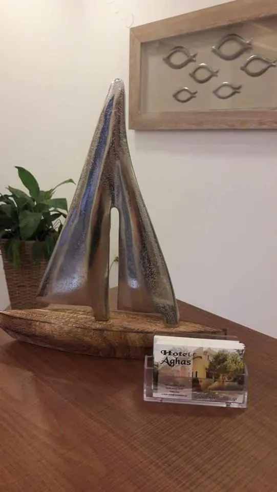 Lobby or reception in Hotel Aghas Paleochora