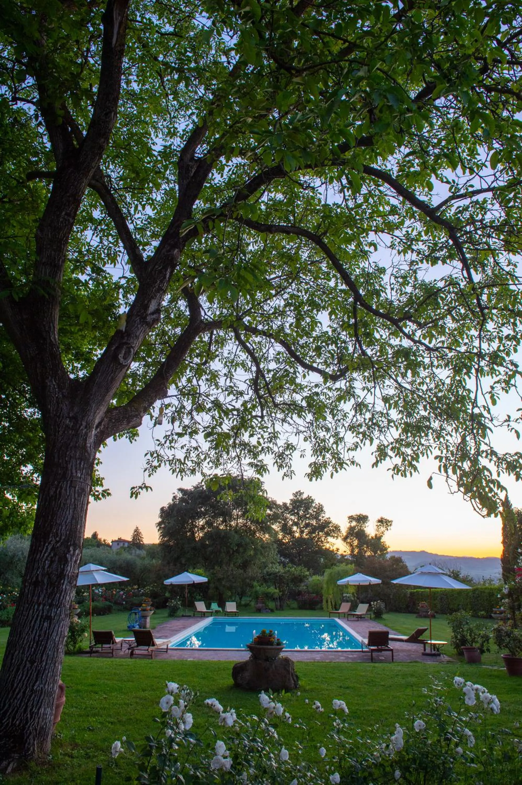 Natural landscape in Podere Sette Piagge