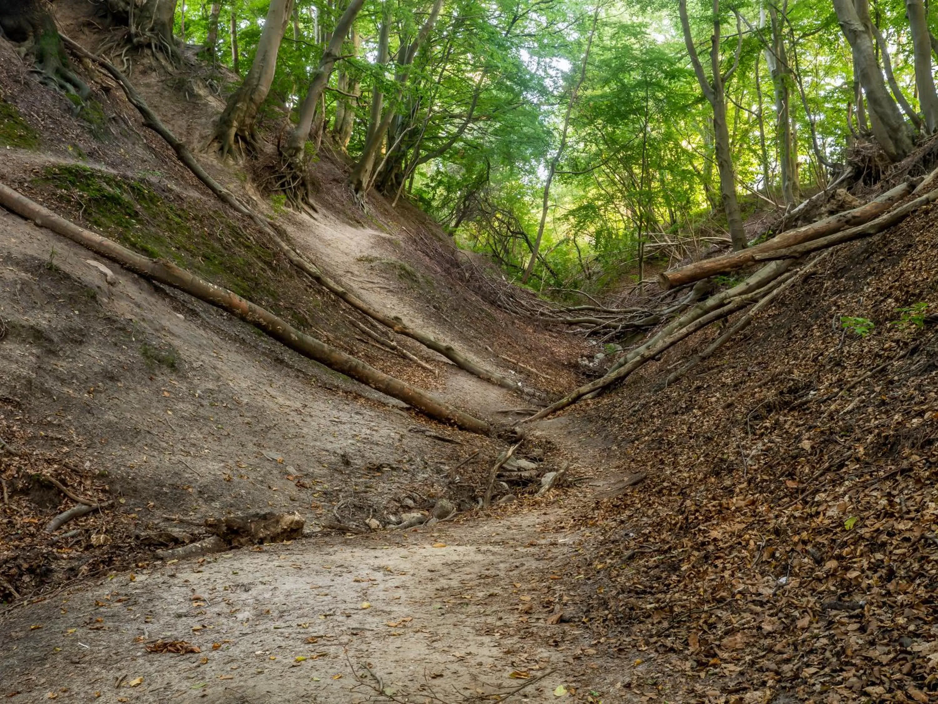 Natural landscape in Przypływy & Odpływy