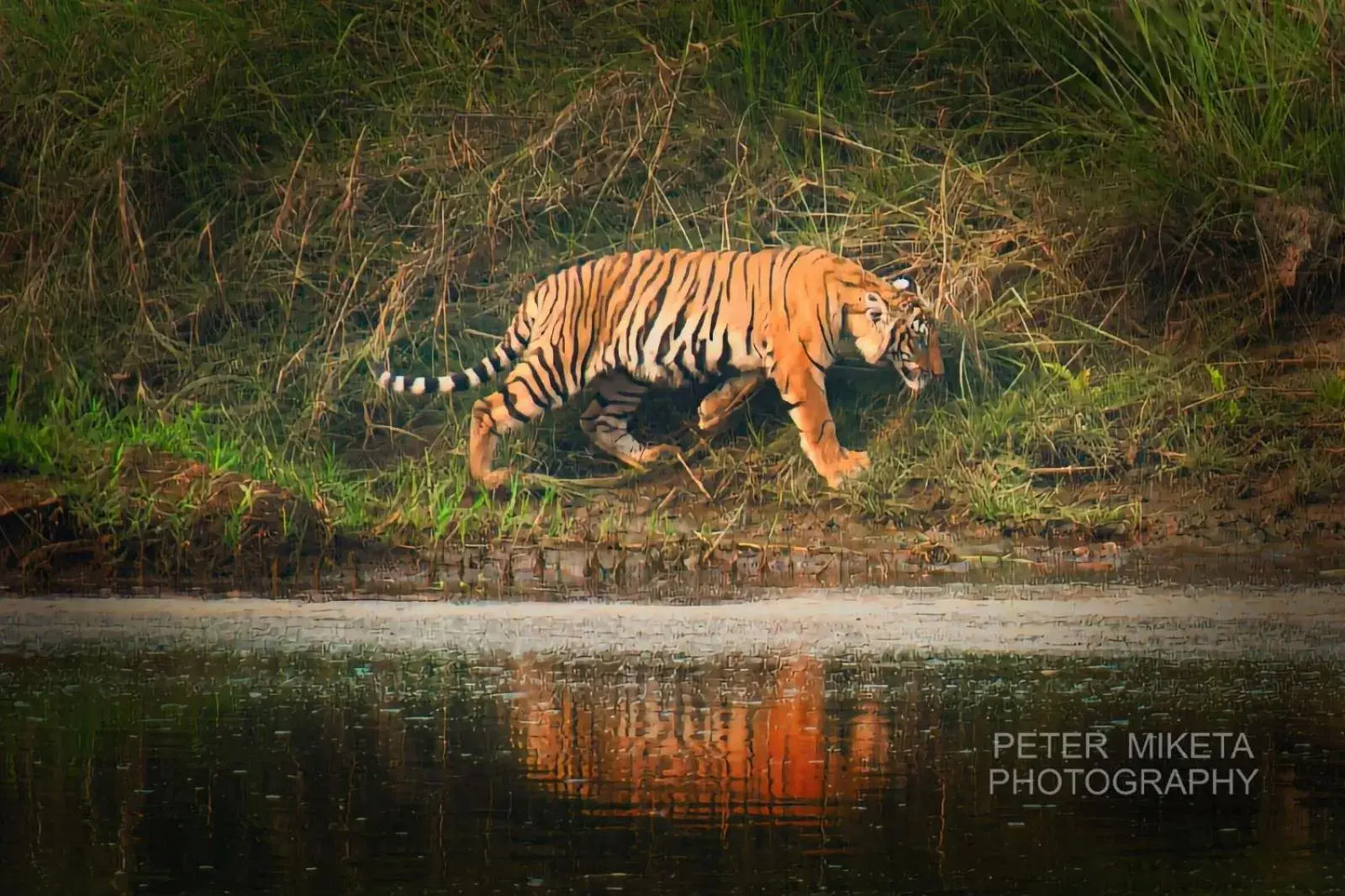 Tiger Corner Inn Homestay Tiger Corner Inn Homestay