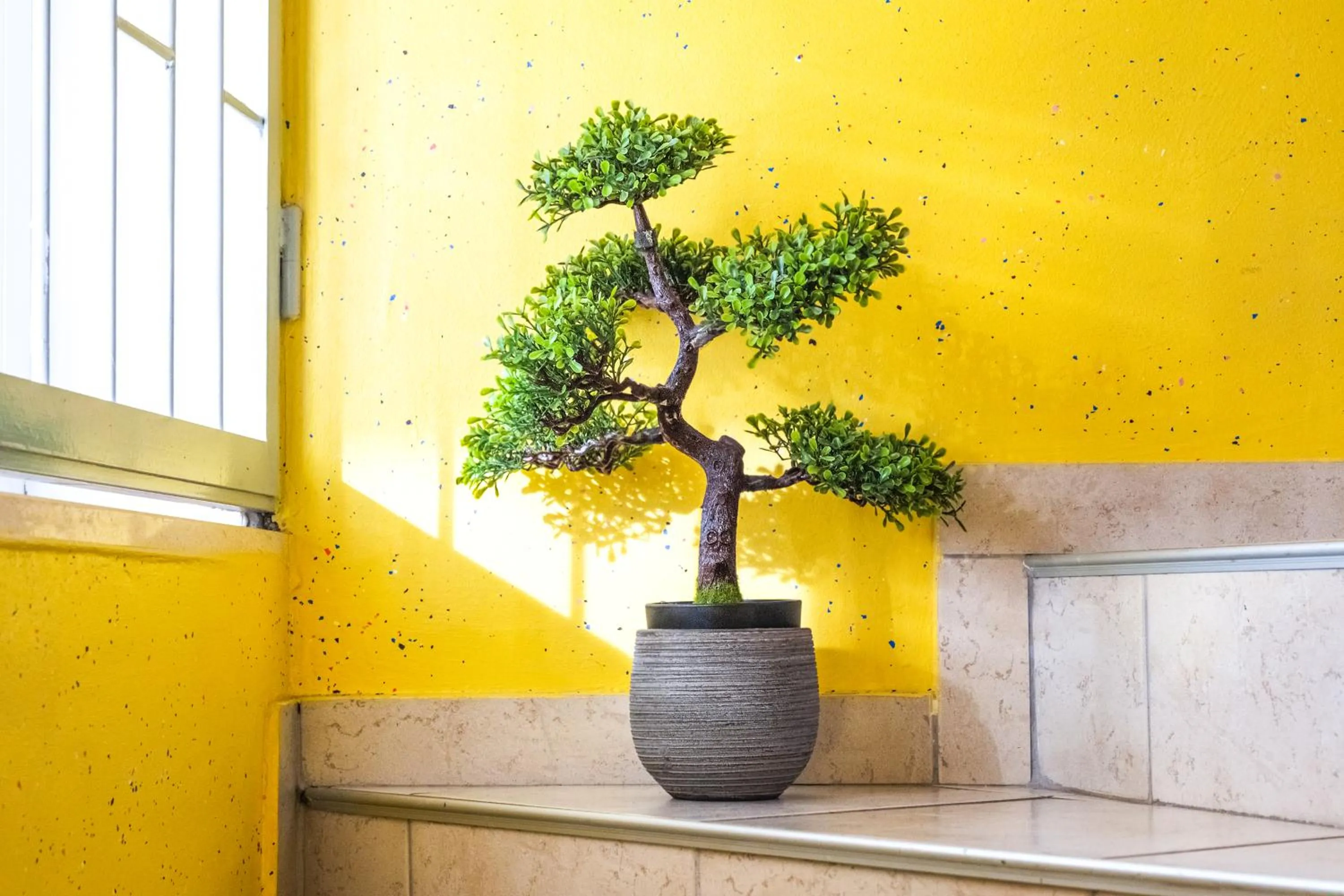 Decorative detail in Garni Hotel Keltika