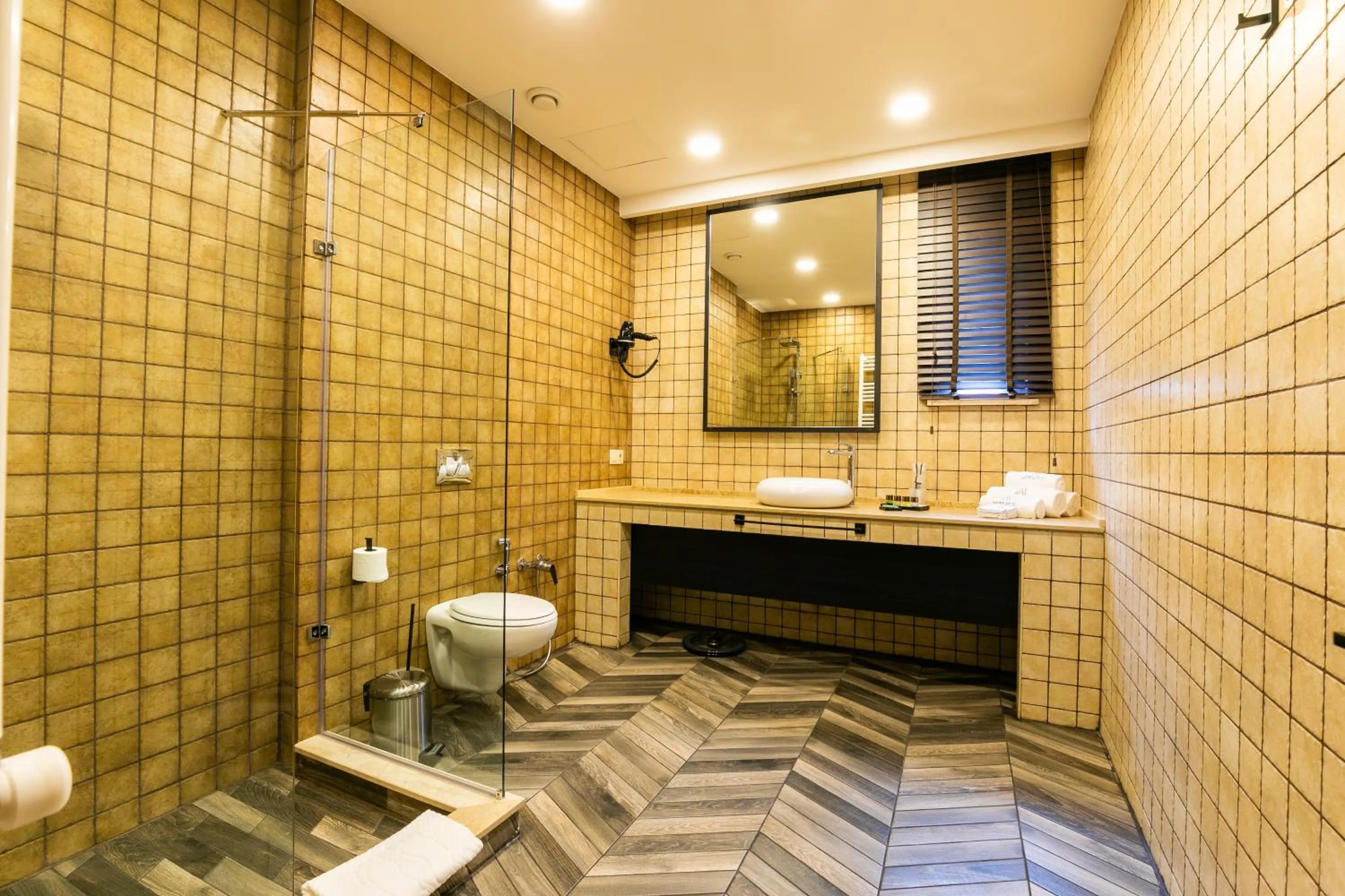 Toilet in Hotel Adamo