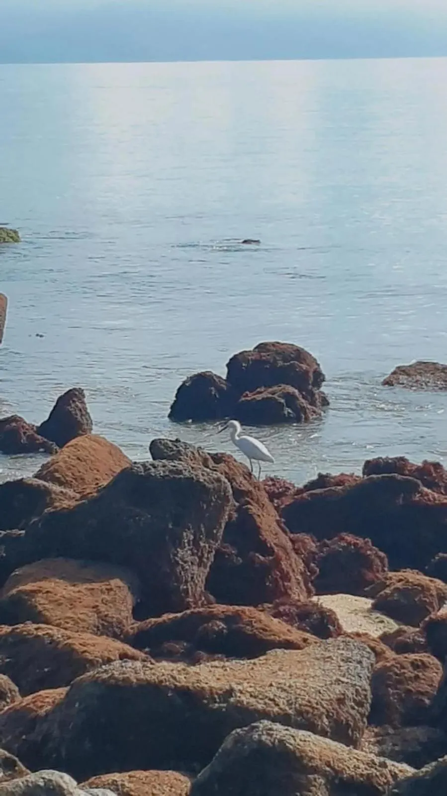 Pousada Cavalo Marinho