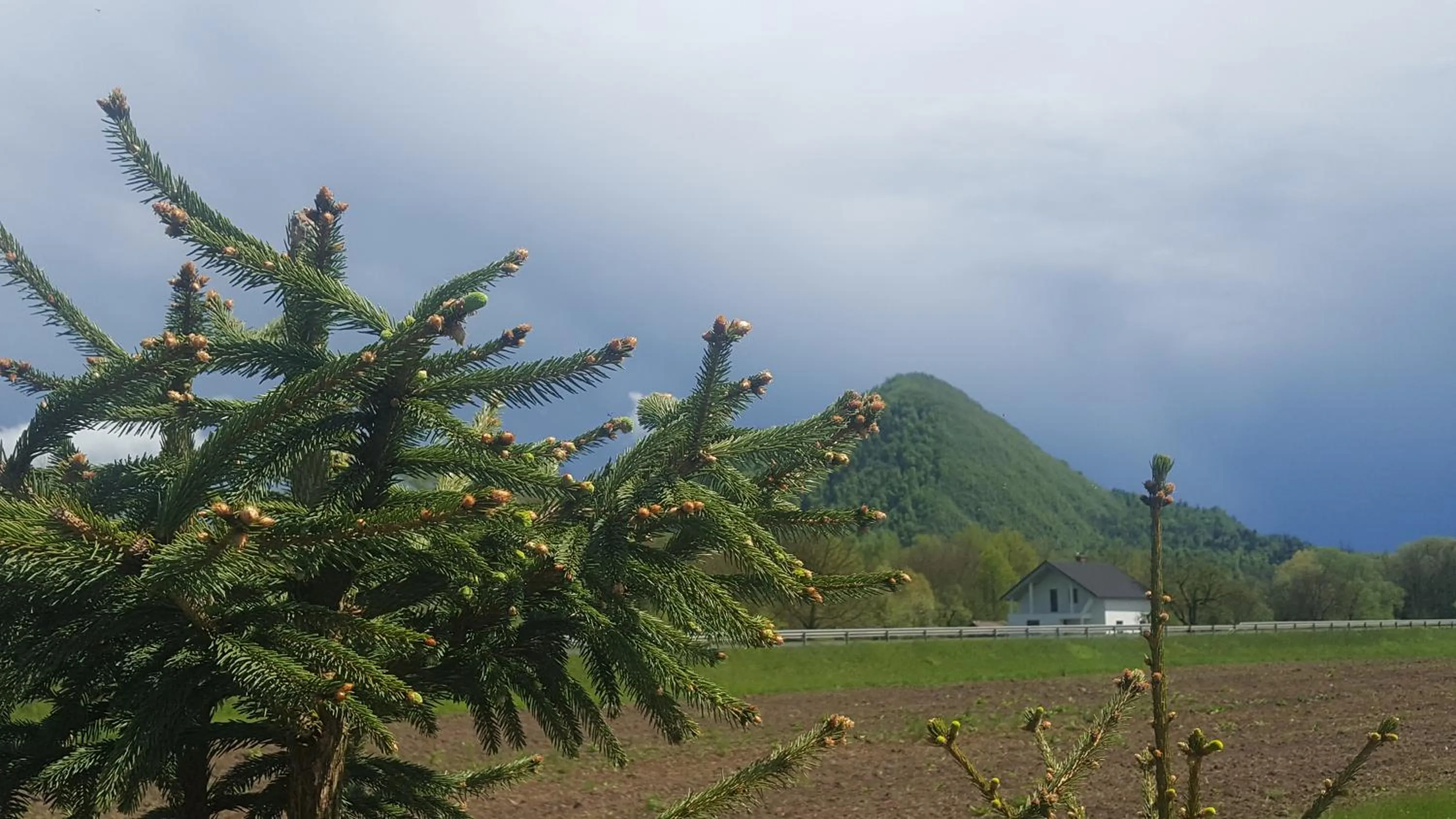 Pri Ancki Sobe Rooms Accomodation Ljubljana suburbs