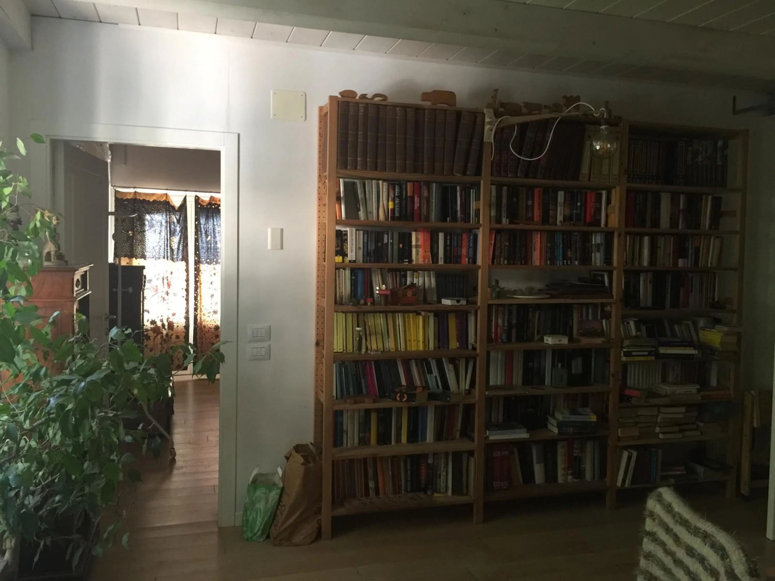 Library in Agriturismo Montedago