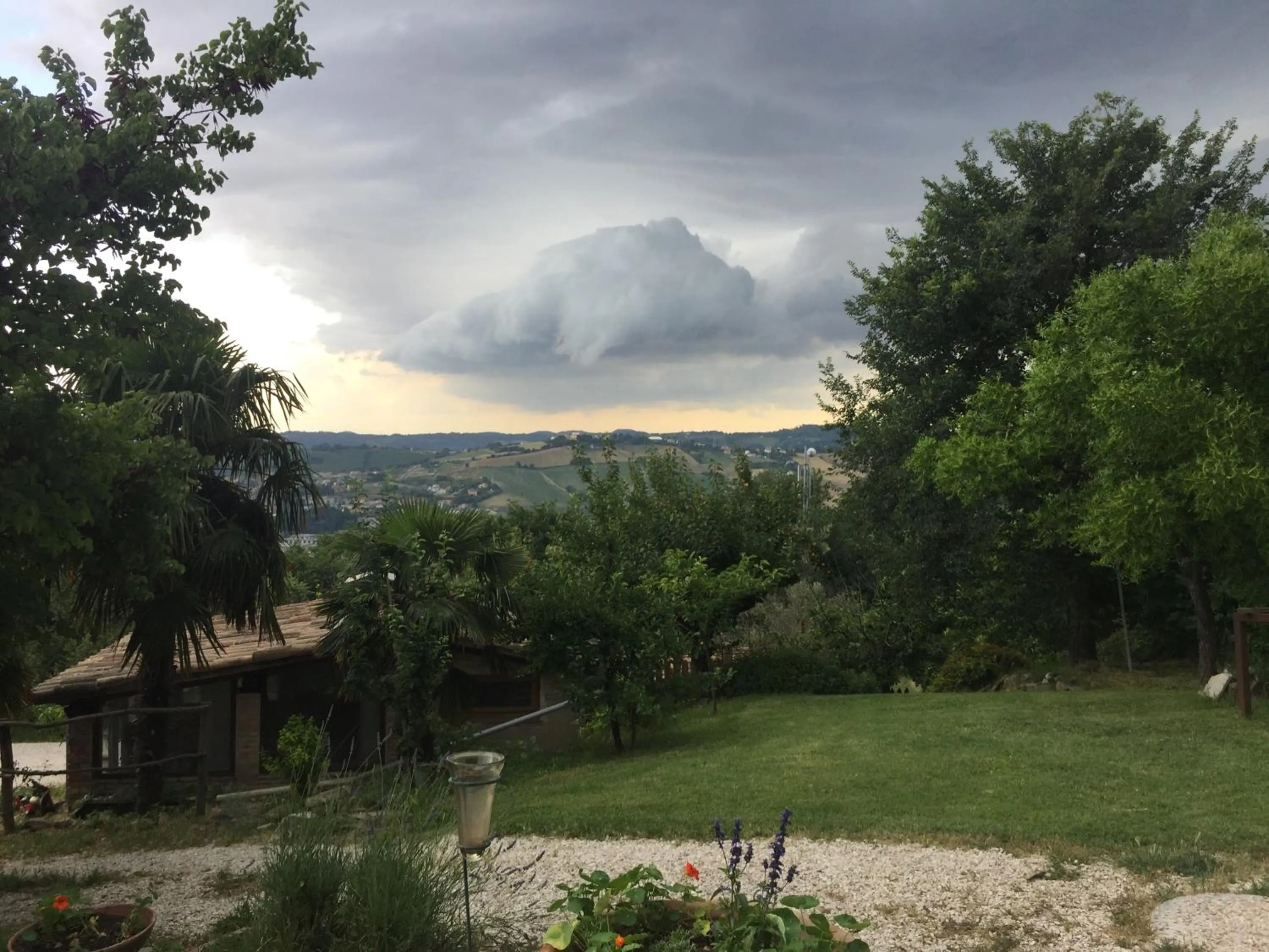Garden view in Agriturismo Montedago