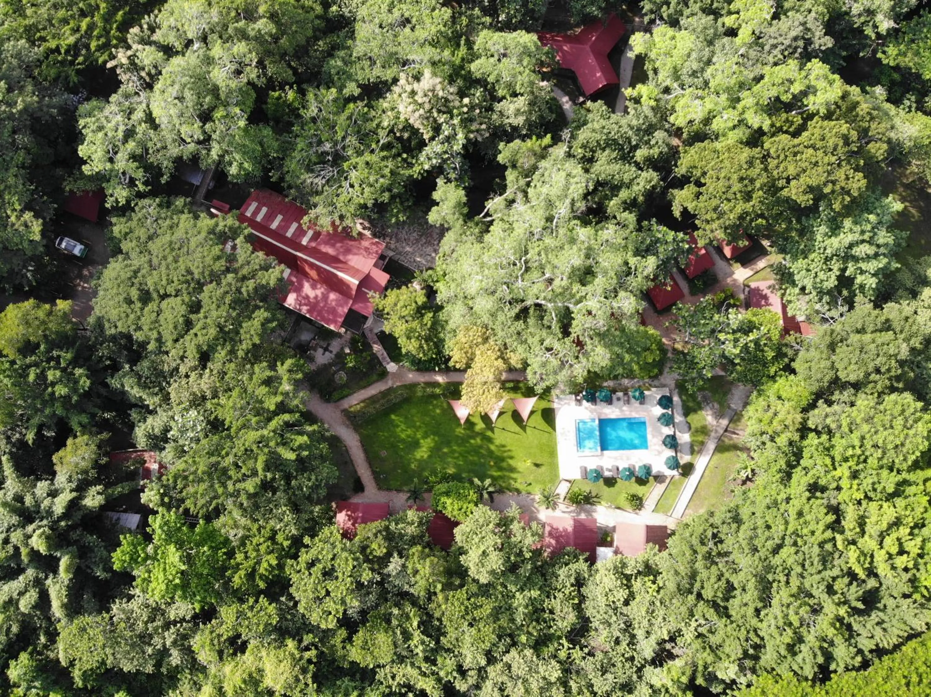 Bird's eye view in Cabañas Kin Balam Palenque