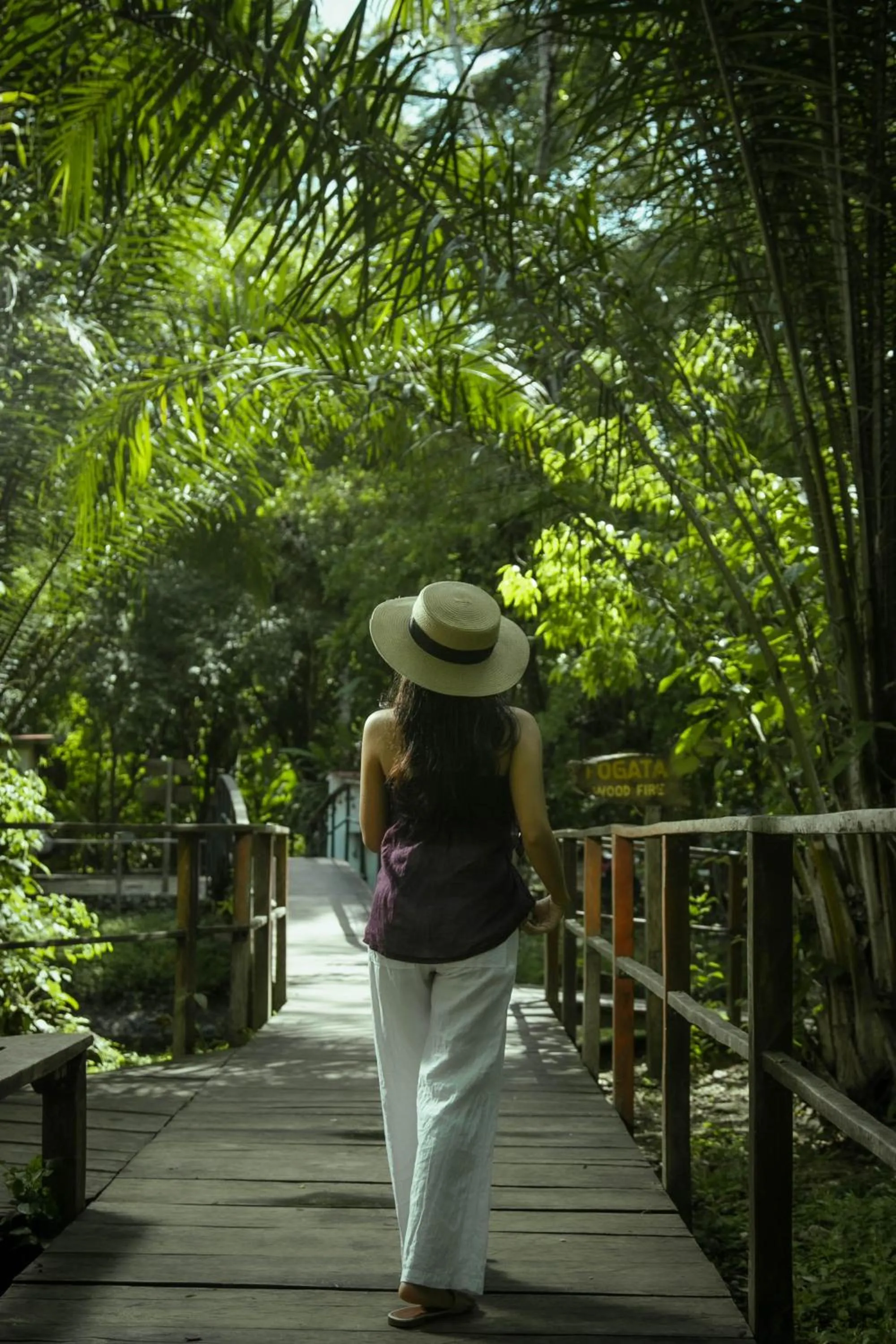 Day in Cabañas Kin Balam Palenque
