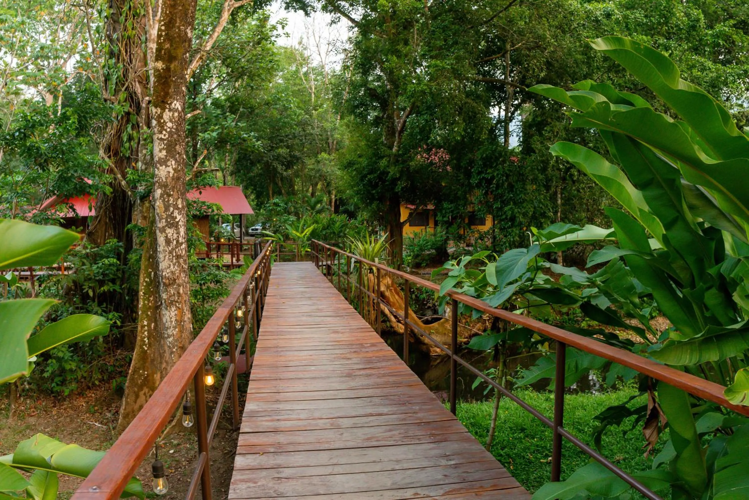 Garden in Cabañas Kin Balam Palenque