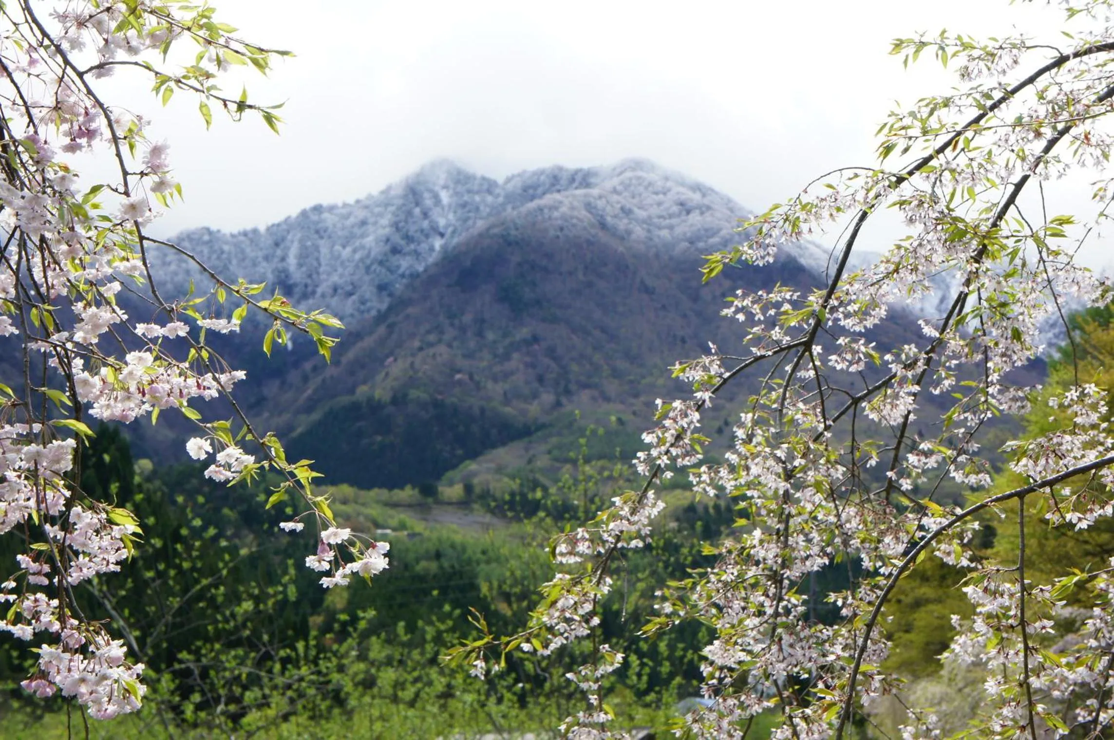 Neighbourhood in Hidaji (Adult Only)