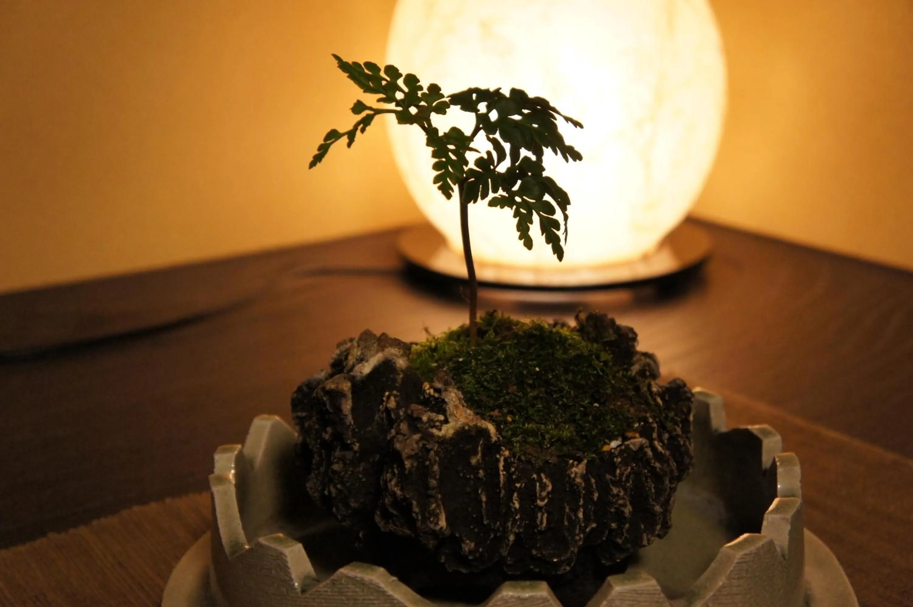 Other in Hidaji (Adult Only)