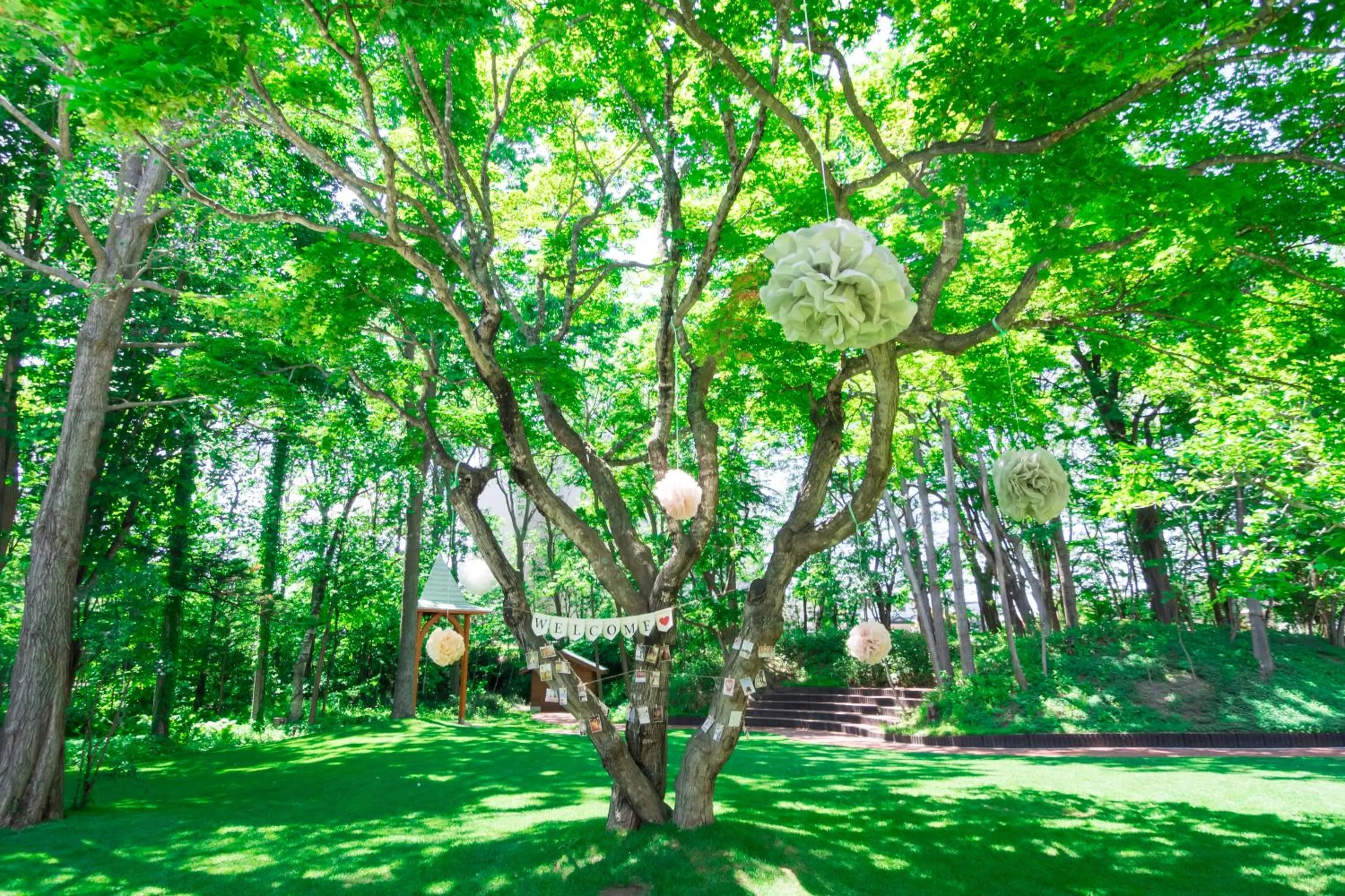 Area and facilities in Hokkaido Hotel