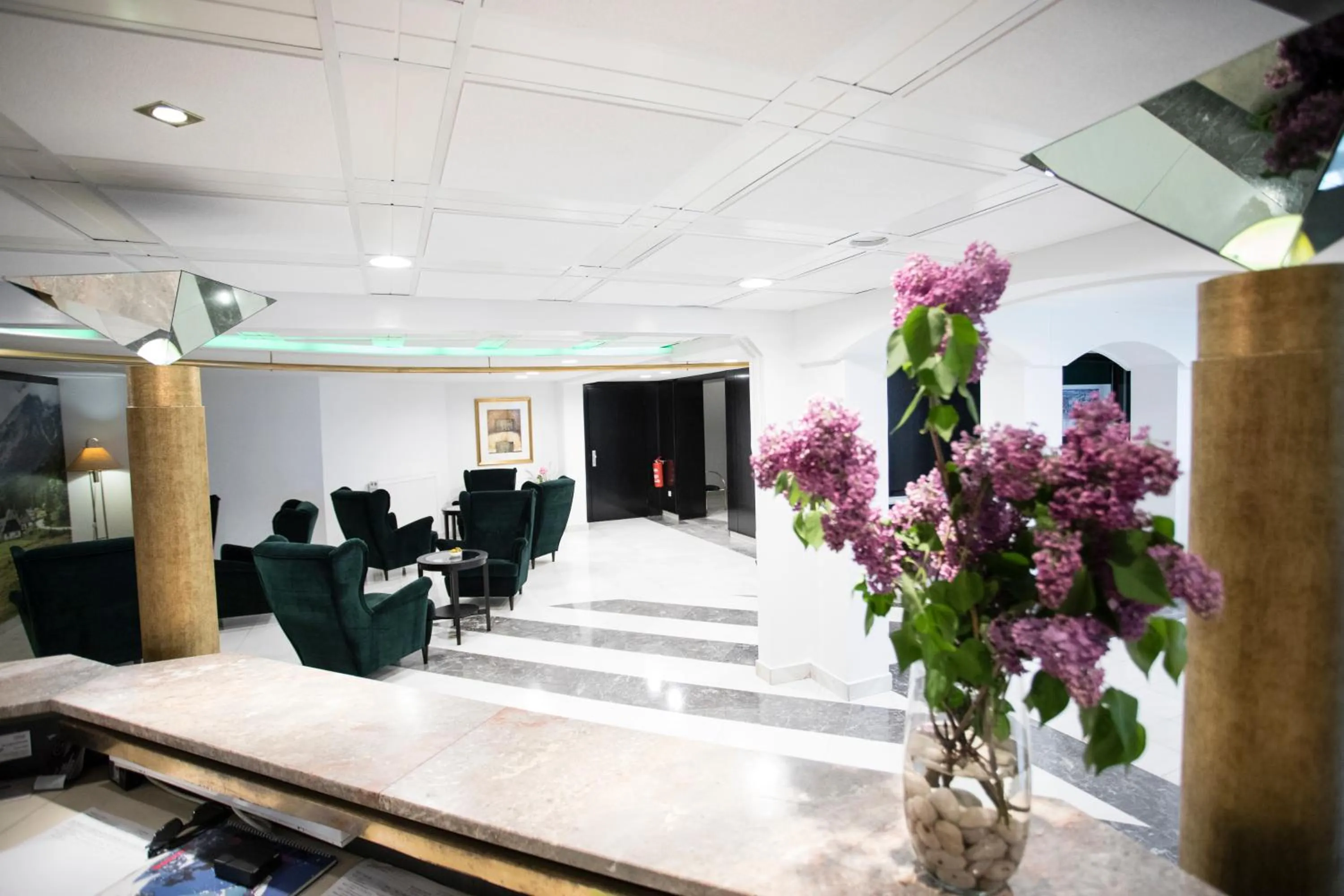 Lobby or reception in Hotel Alp
