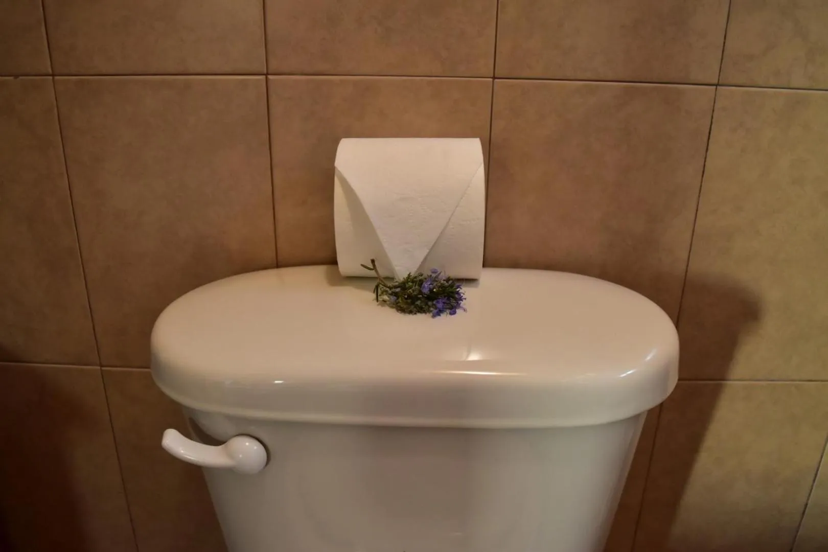 Bathroom in Bajo el Sol del Valle