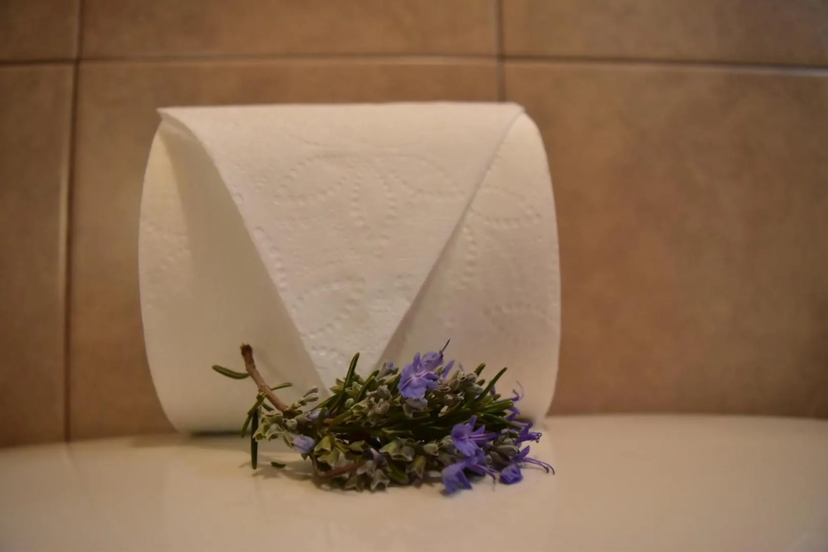 Bathroom in Bajo el Sol del Valle