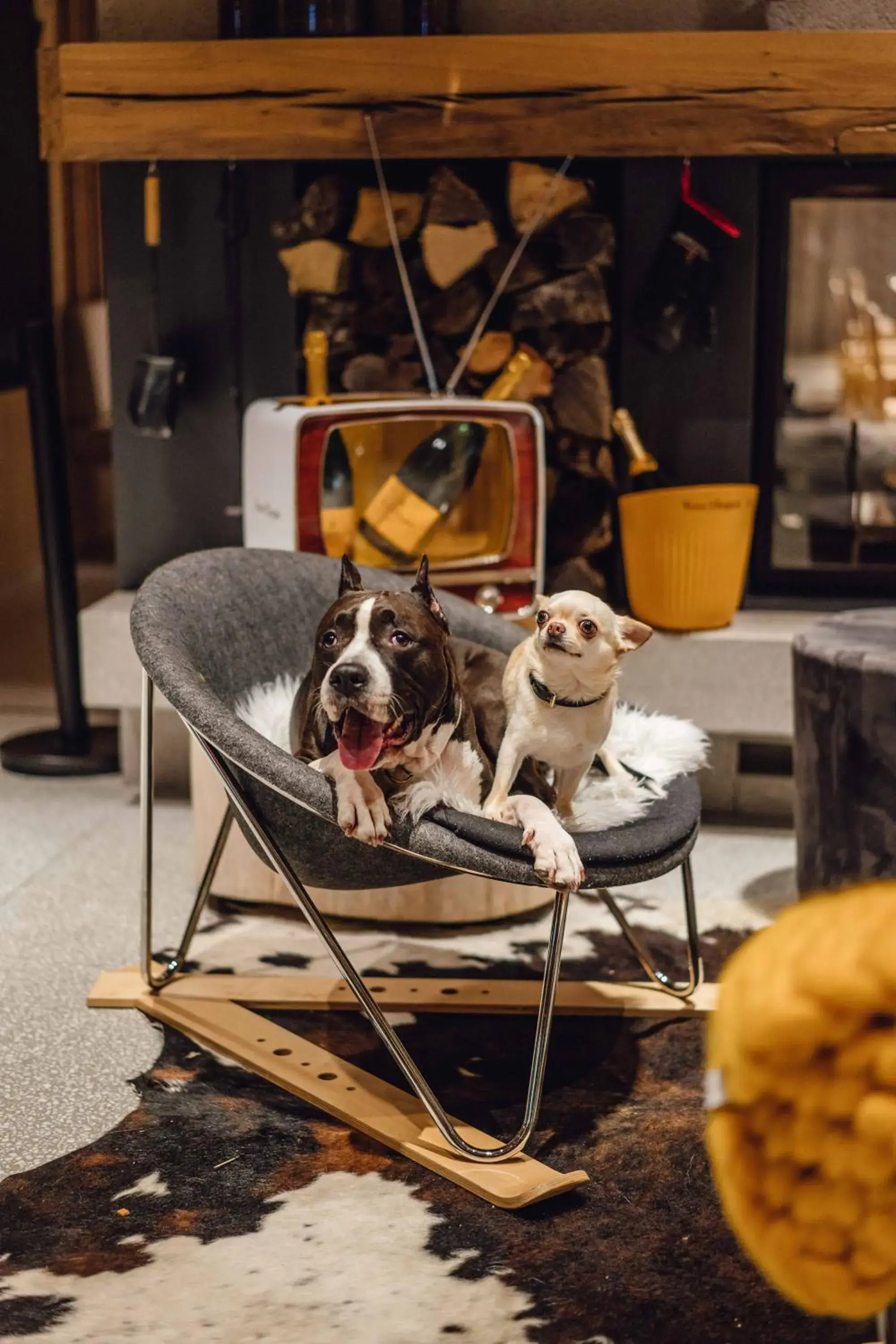 Lobby or reception in Hotel Bohinj Lobby or reception in Hotel Bohinj