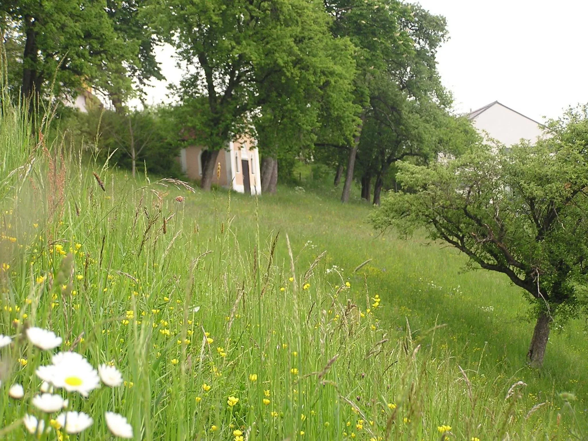 Area and facilities in Gasthof Hotel Zweimüller