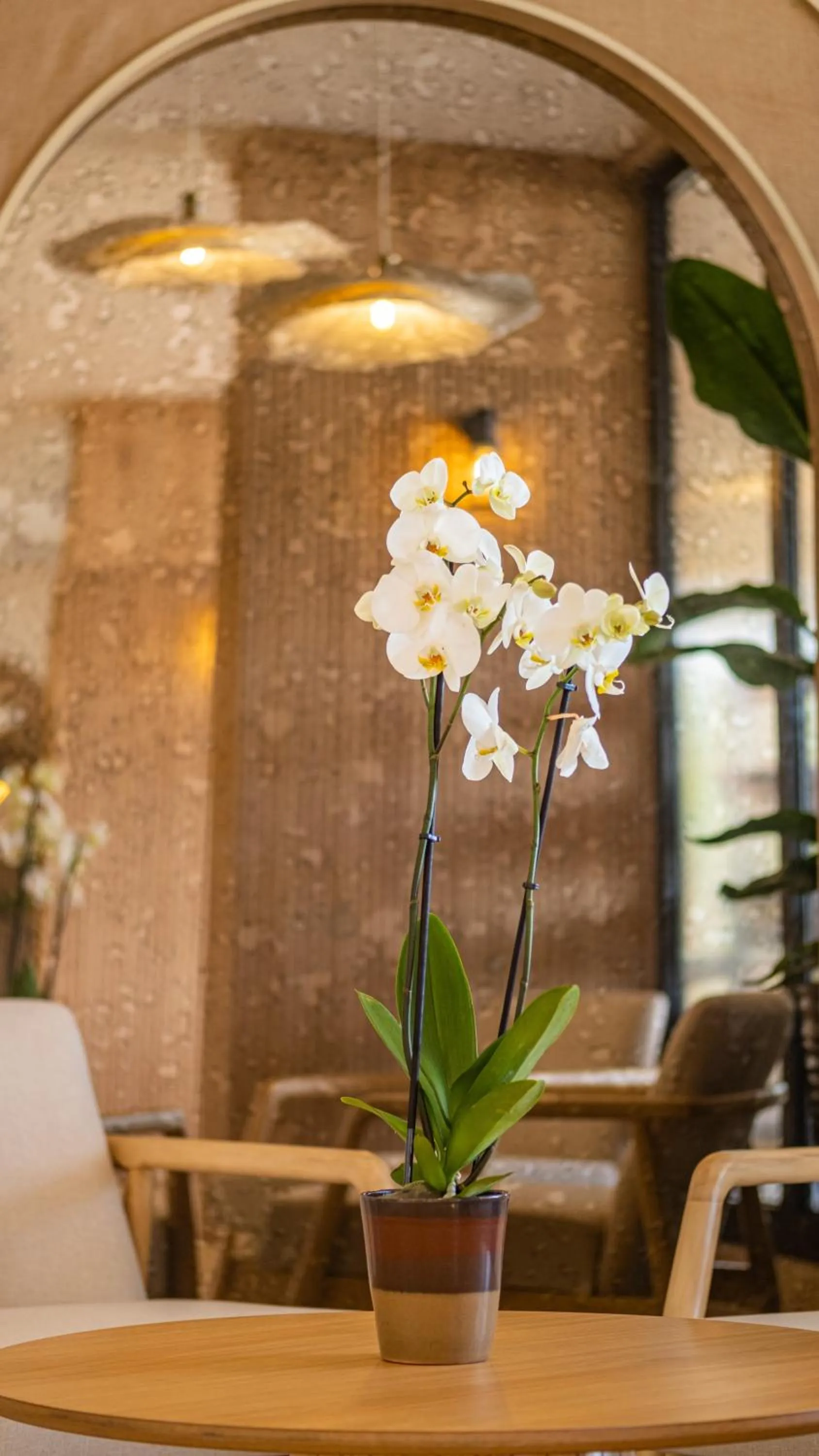 Lobby or reception in Heritage by Cimen Hotel