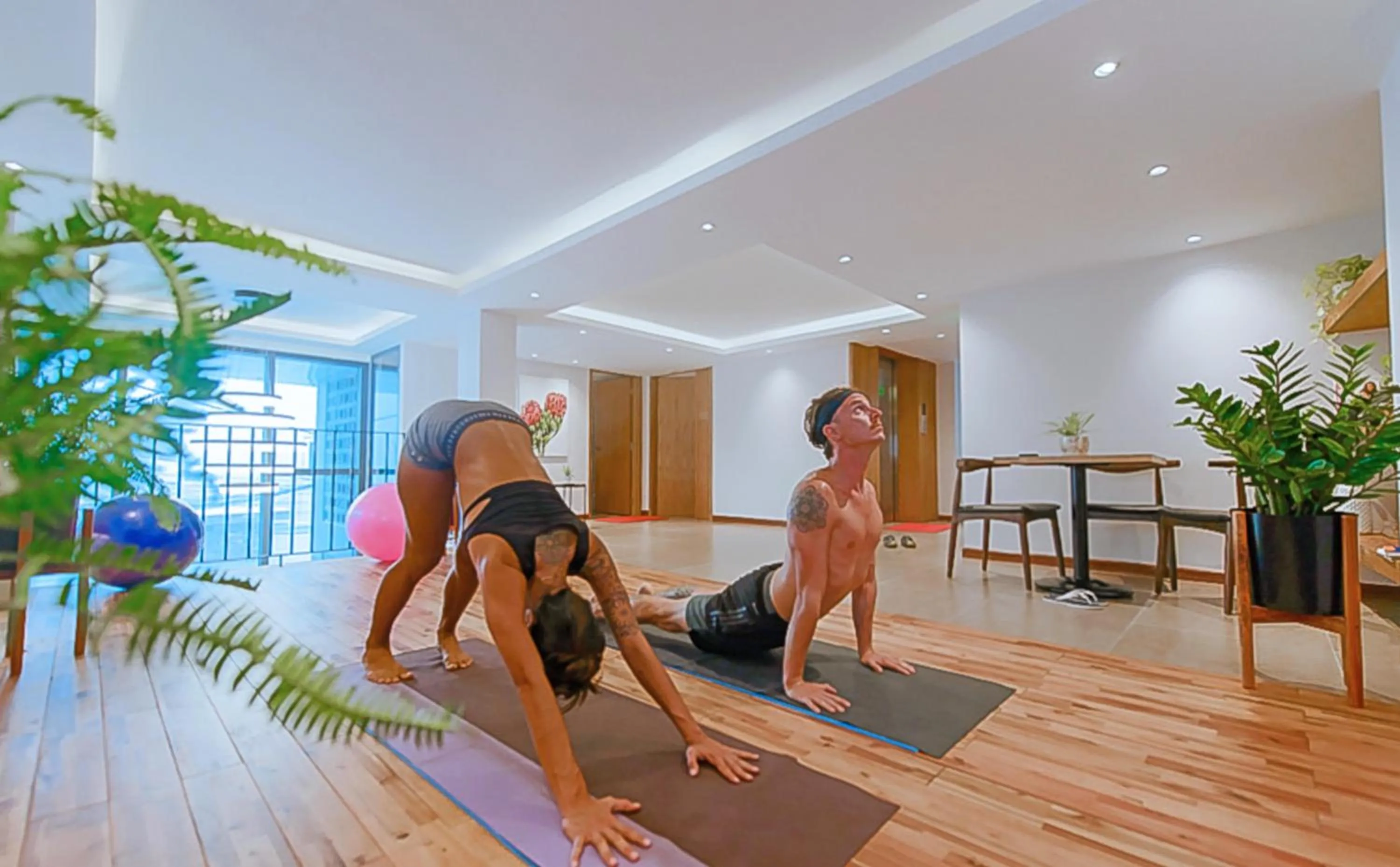 Activities in Mojzo Inn Boutique Hotel