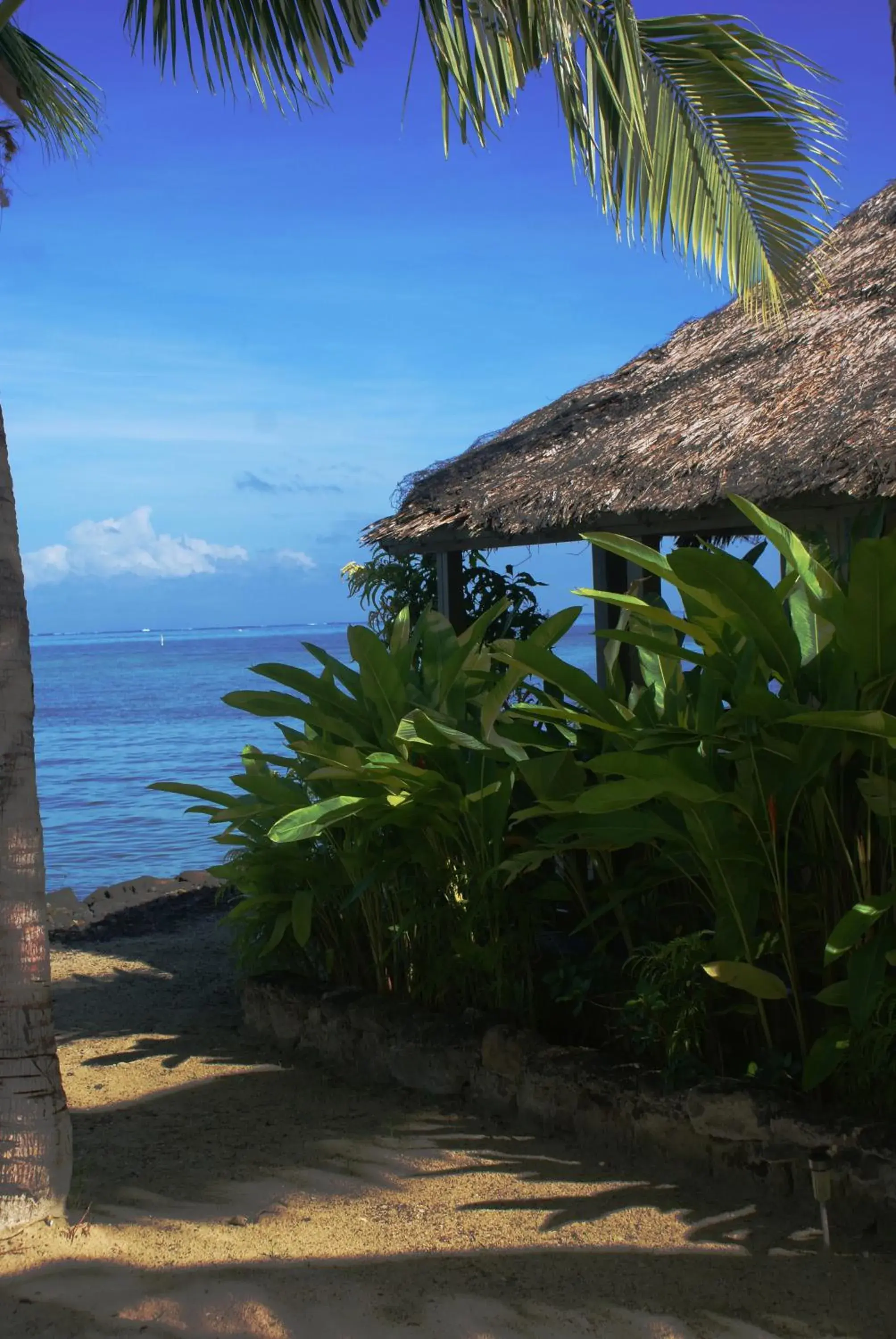 Two-Bedroom Villa with Ocean View - Sunset in Le Vasa Resort Two-Bedroom Villa with Ocean View - Sunset in Le Vasa Resort
