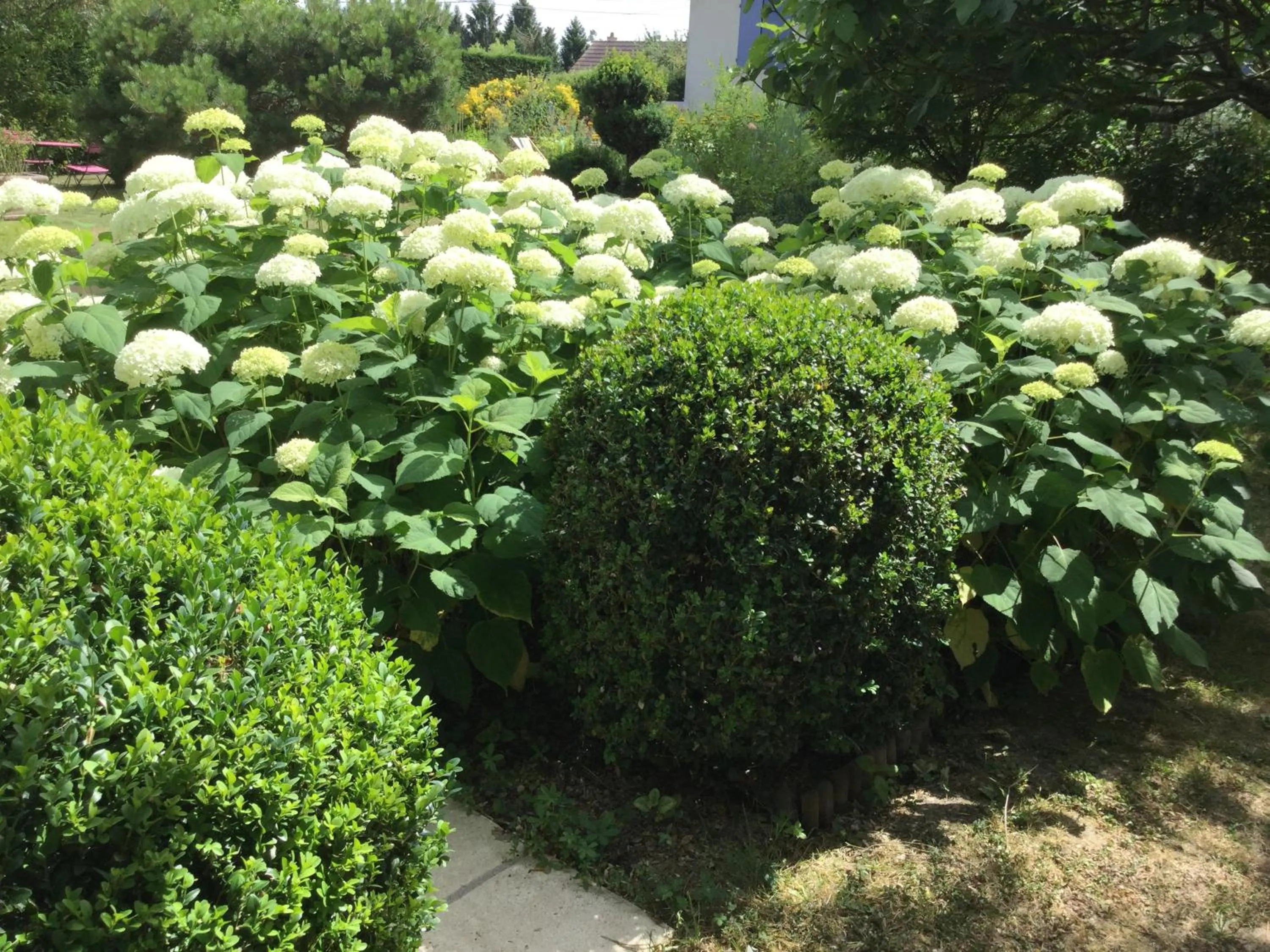 Garden in Chambres d'Hotes au Pays de Valencay en Berry