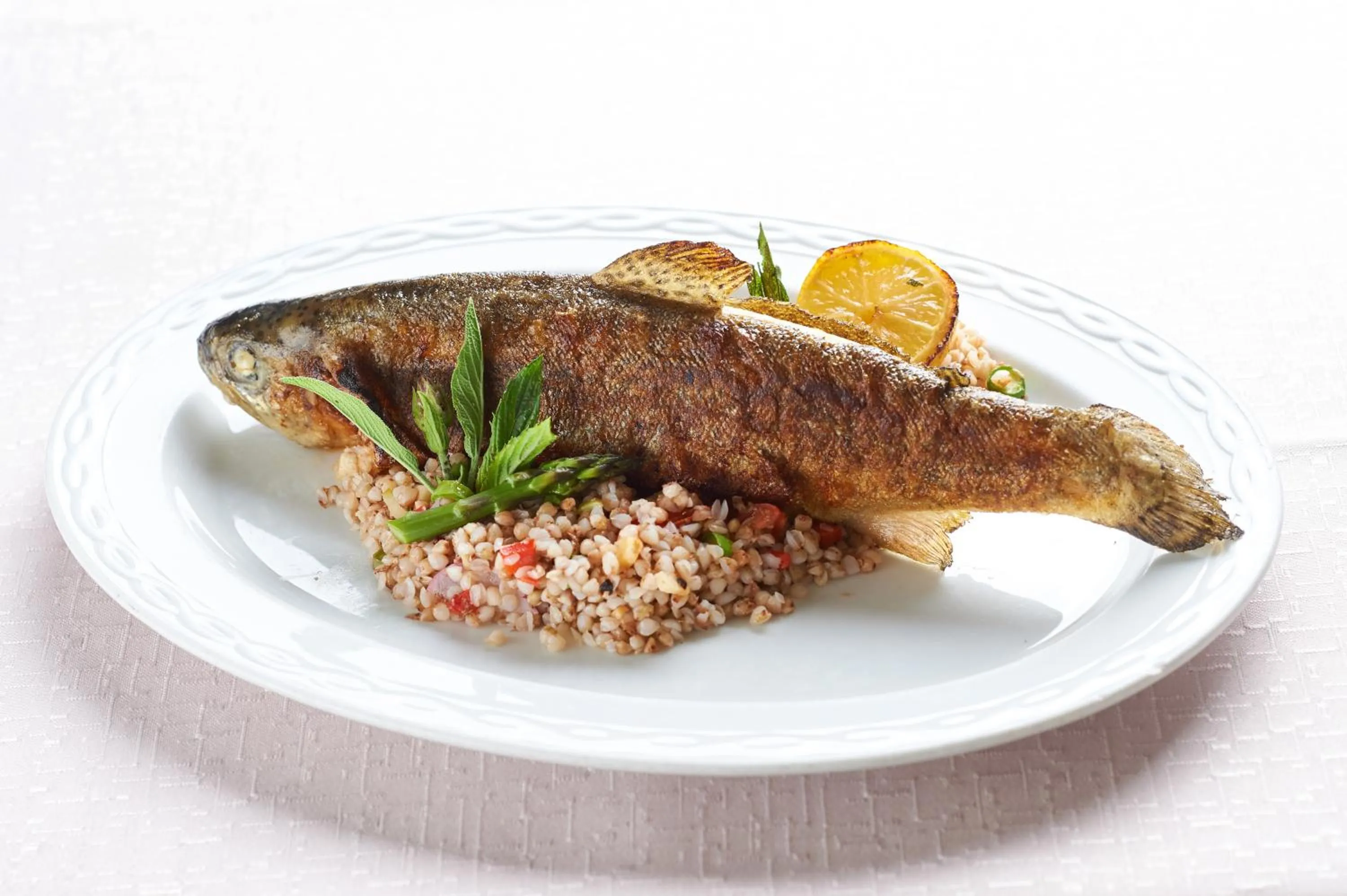 Eco Terme Snovik, Kamnik