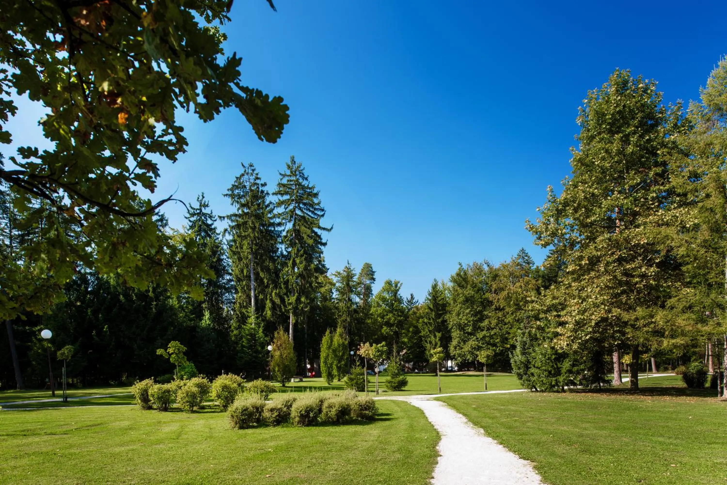 Natural landscape in Terme Zreče – Vile Terme Zreče