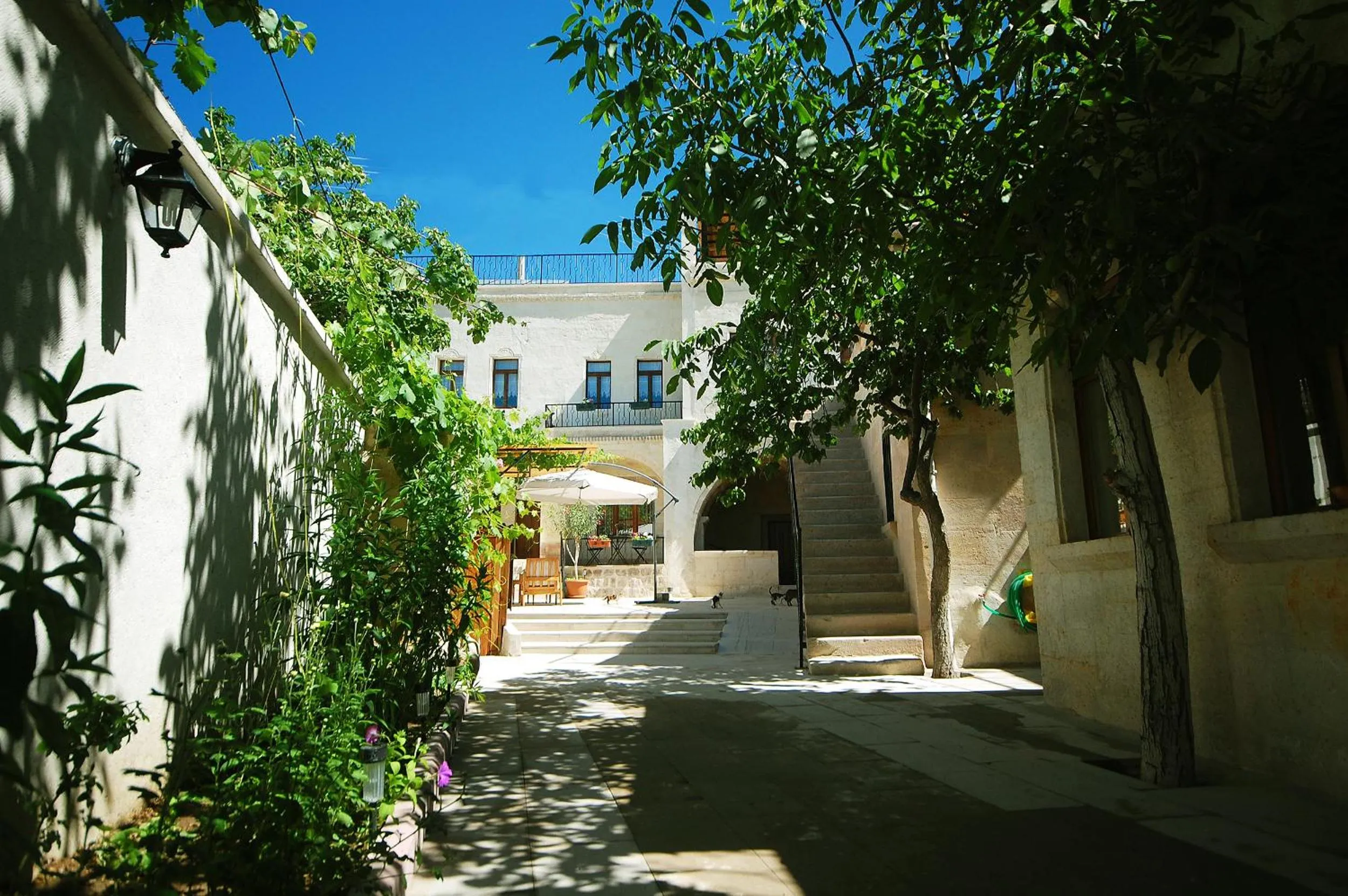 Property building in Karadut Cave Hotel