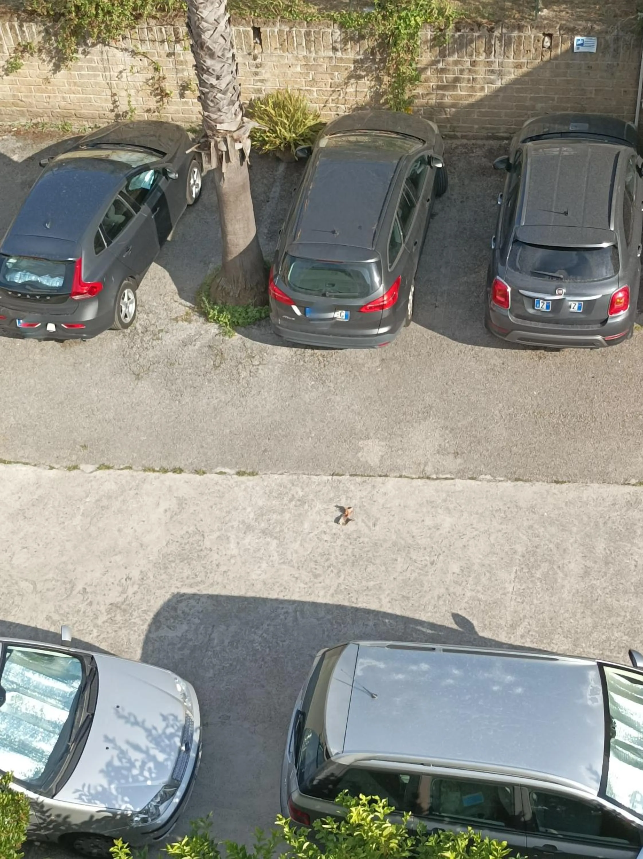 Parking in Villaggio Verde Cupra