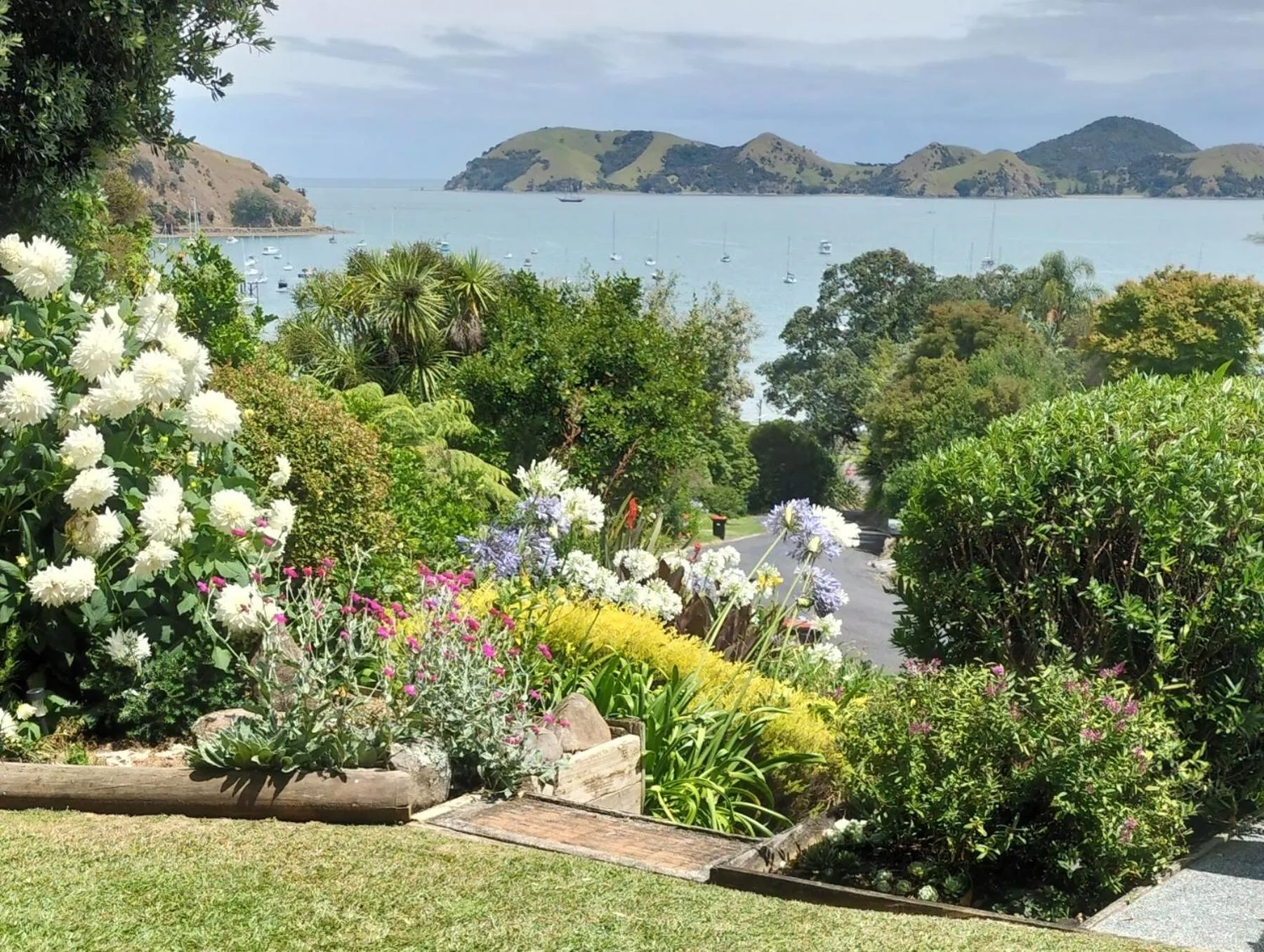 Sea view in Bird Haven