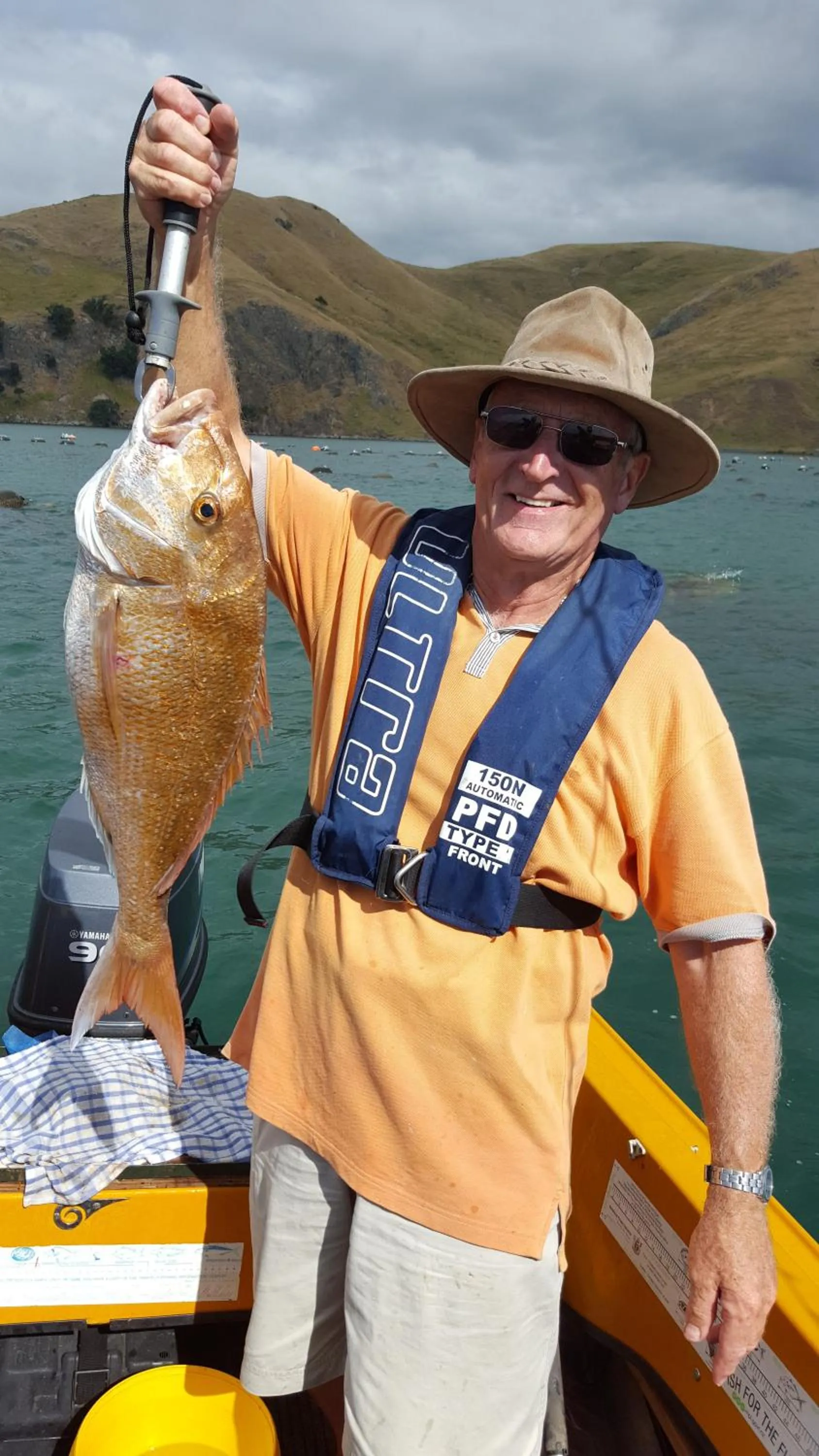 Fishing in Bird Haven