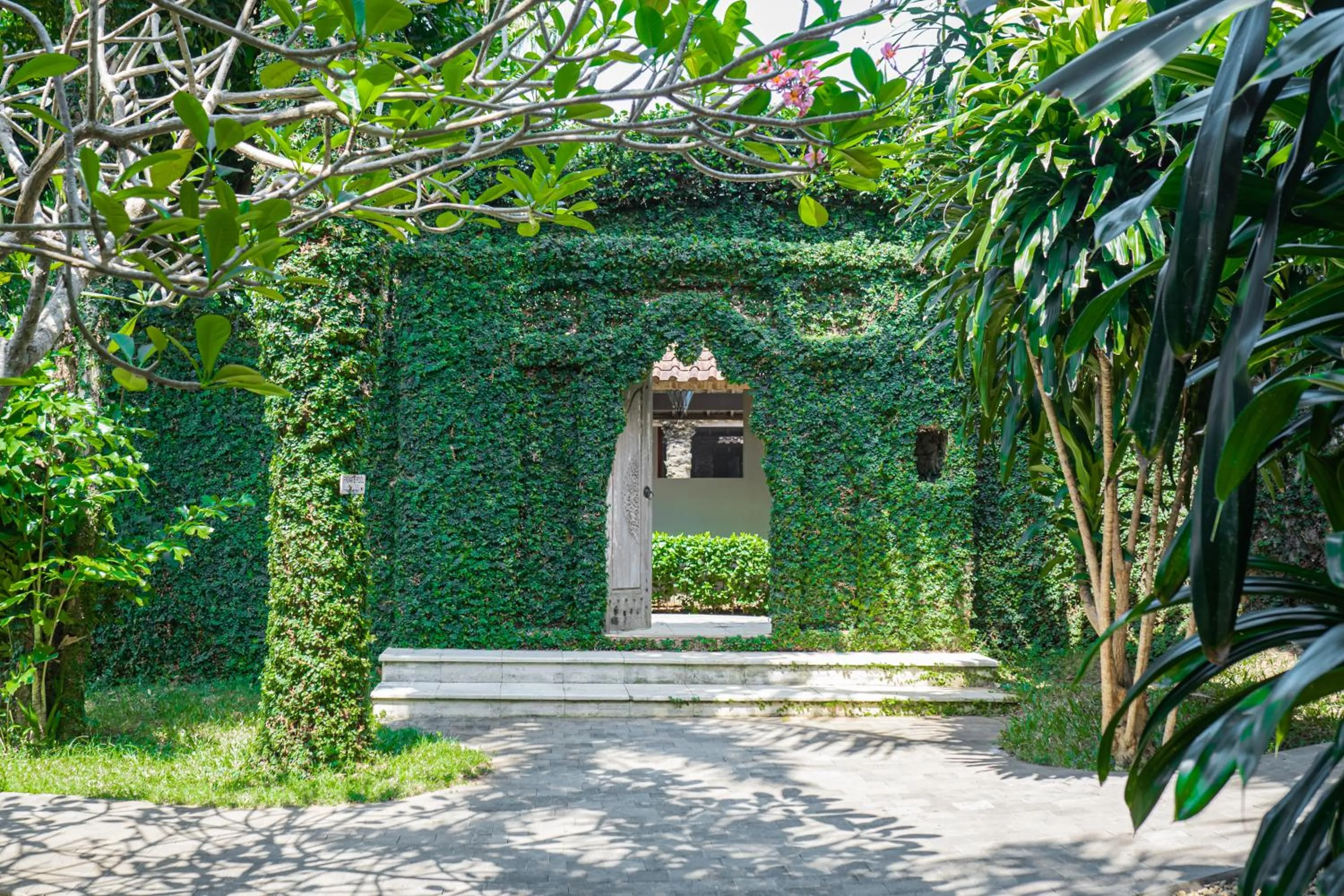 Property building in Coconut Lodge Resort