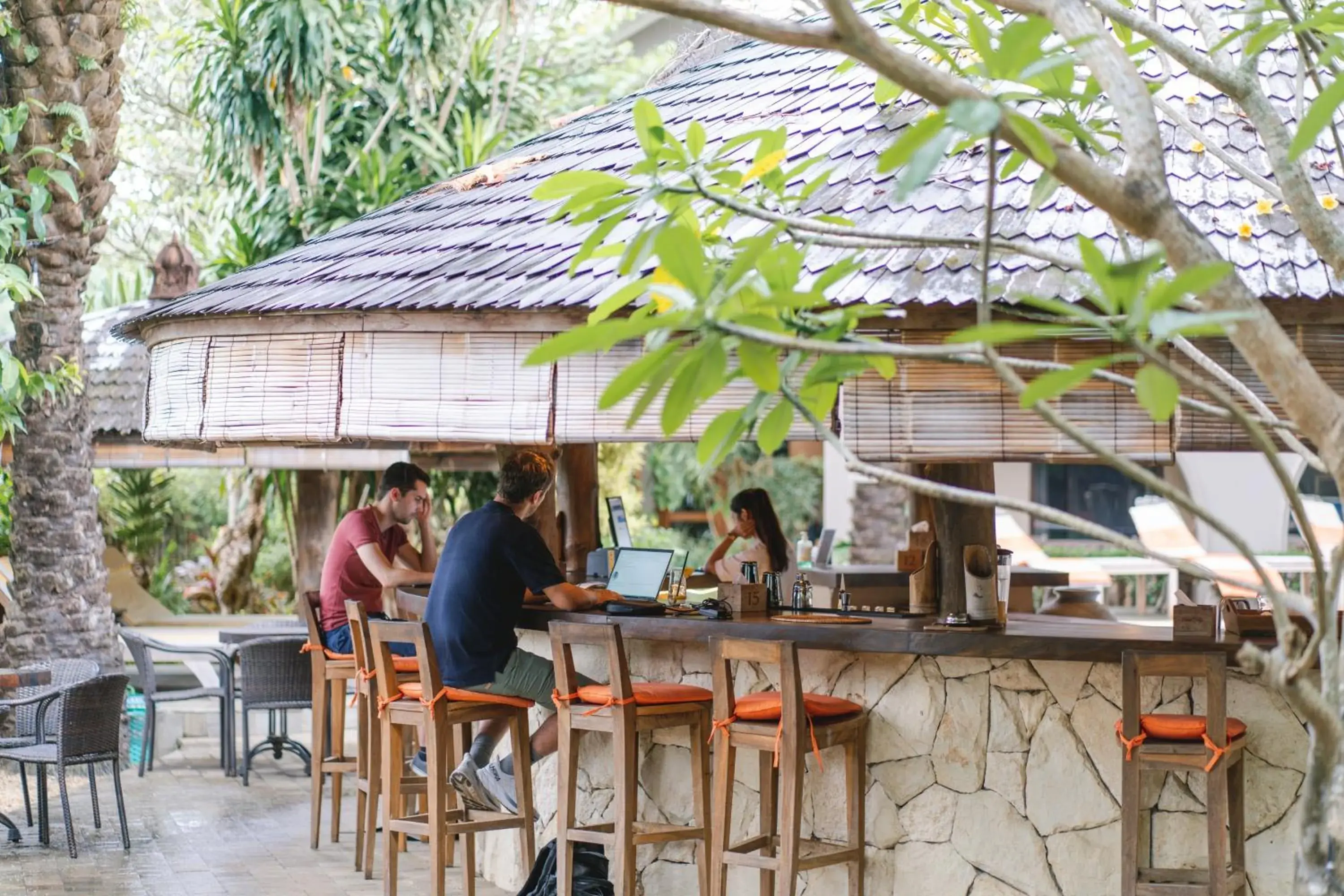 Lounge or bar in Coconut Lodge Resort Lounge or bar in Coconut Lodge Resort