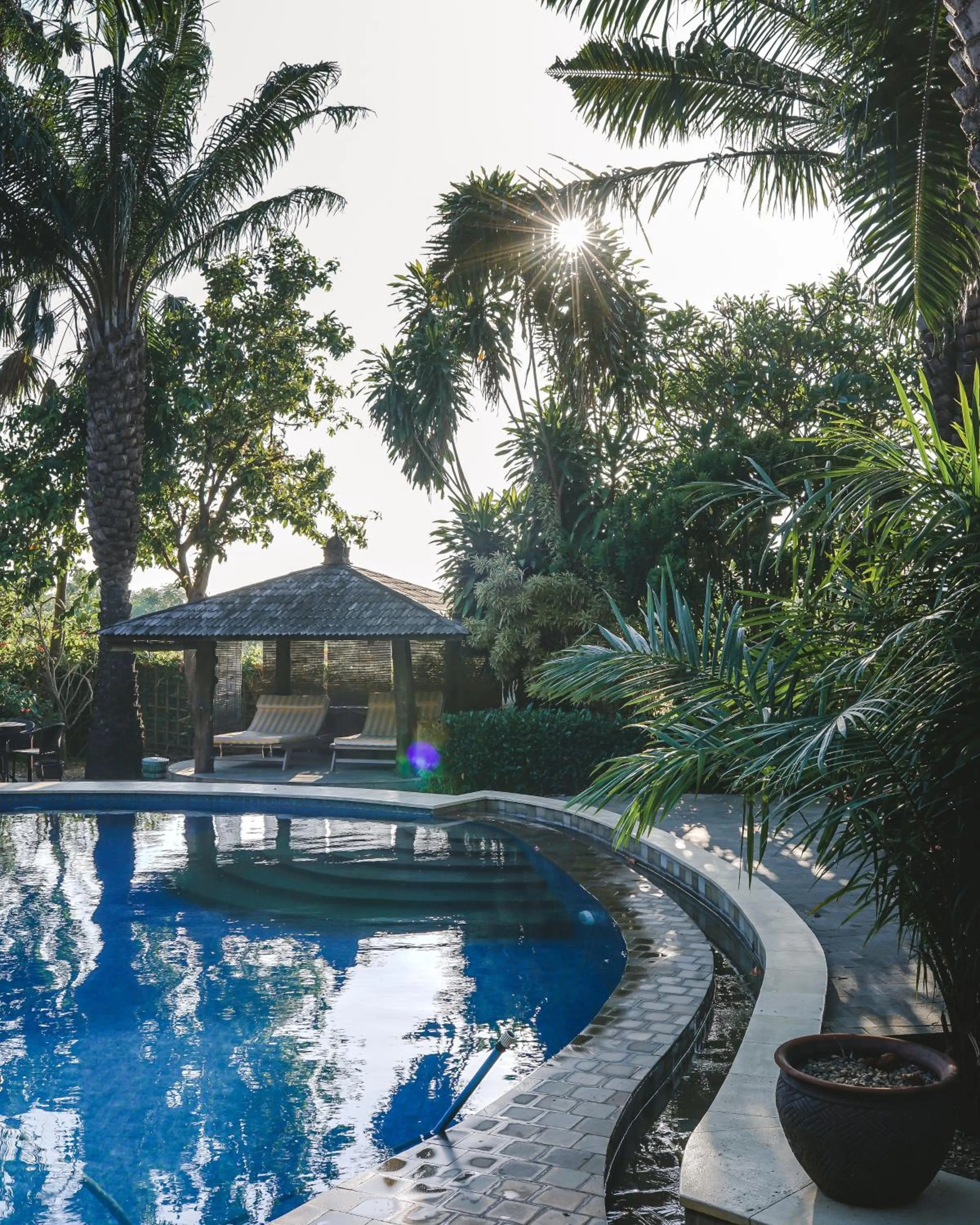 Swimming pool in Coconut Lodge Resort
