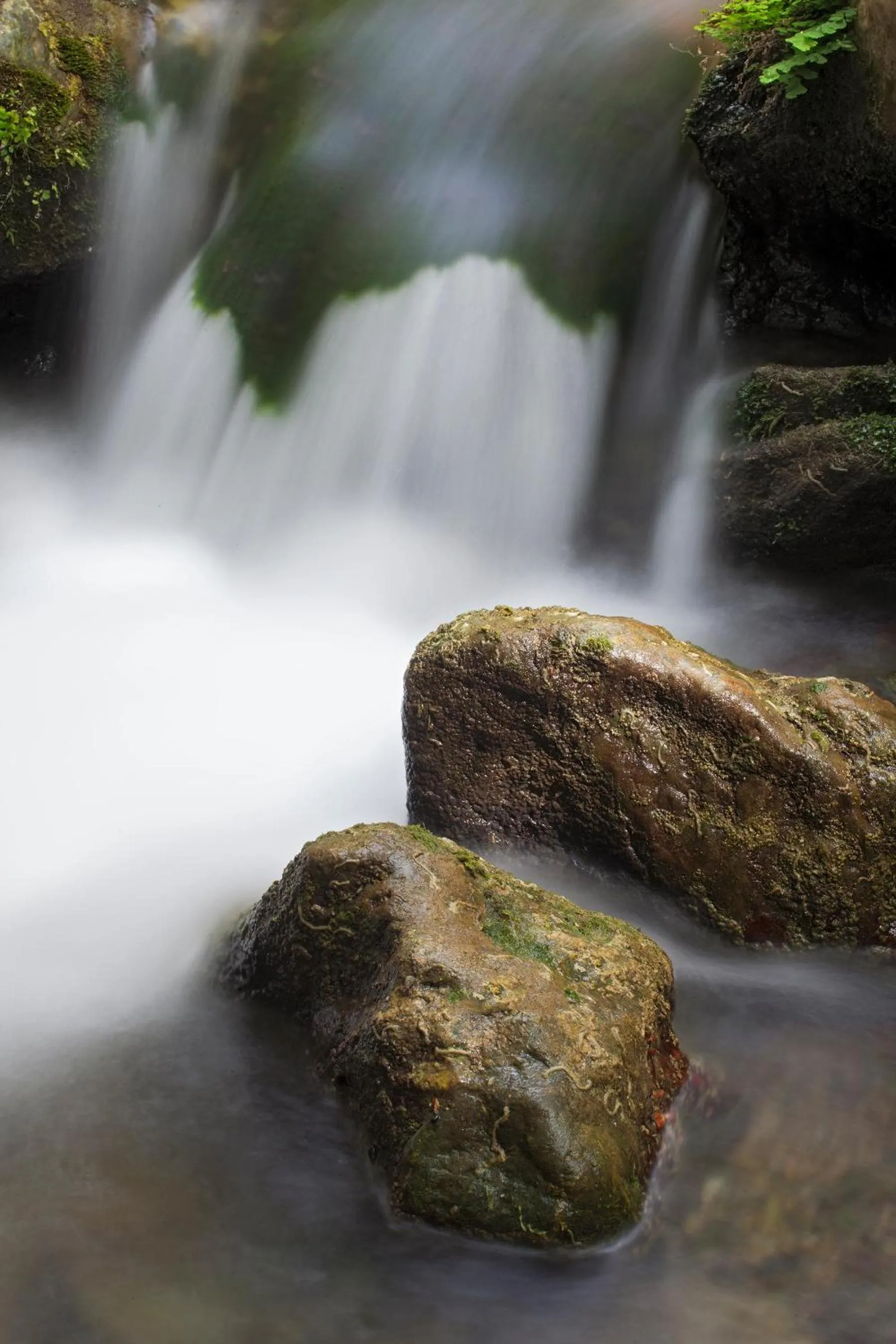 Minos Apartments & Studios