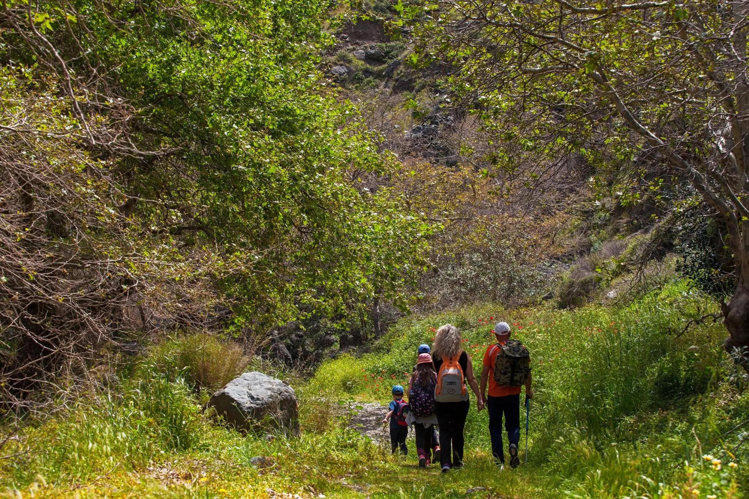 Natural landscape in Minos Apartments & Studios