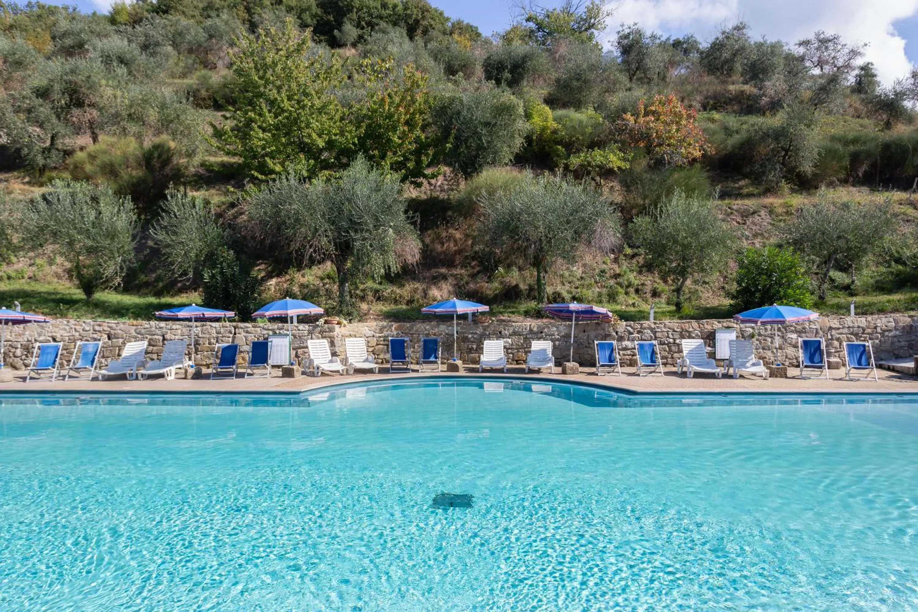 Swimming pool in Villa Grassina