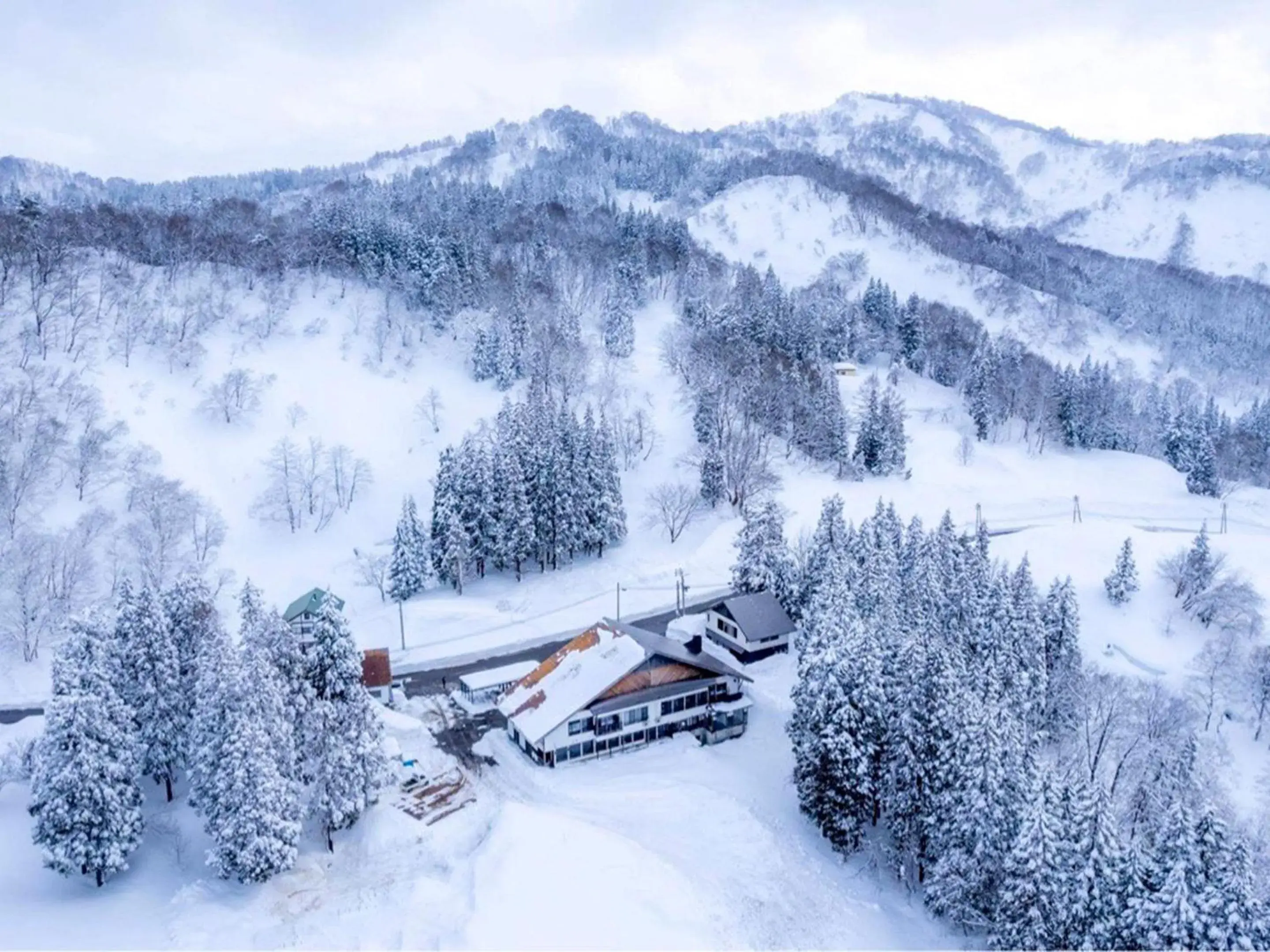 Auberge 醸す森 "kamosu mori" Auberge 醸す森 "kamosu mori"