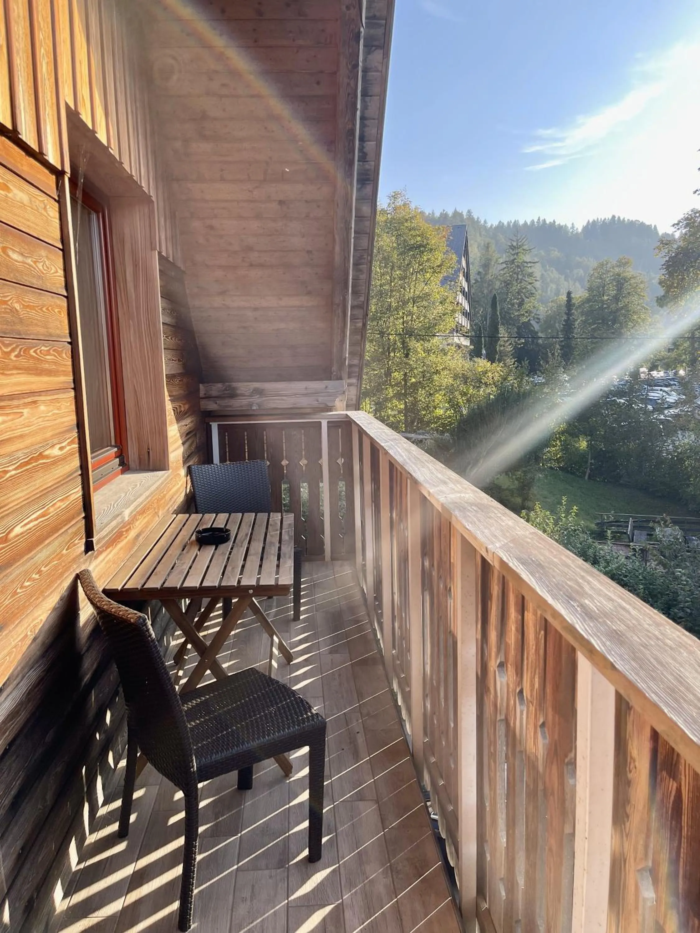 Balcony/Terrace in Aparthotel Gaja