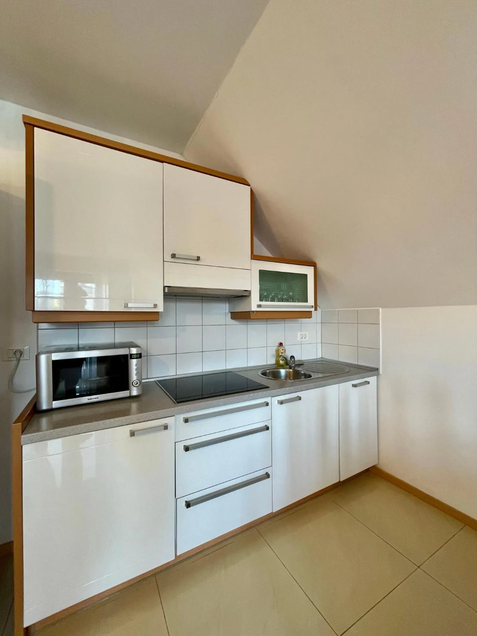 Kitchen or kitchenette in Aparthotel Gaja