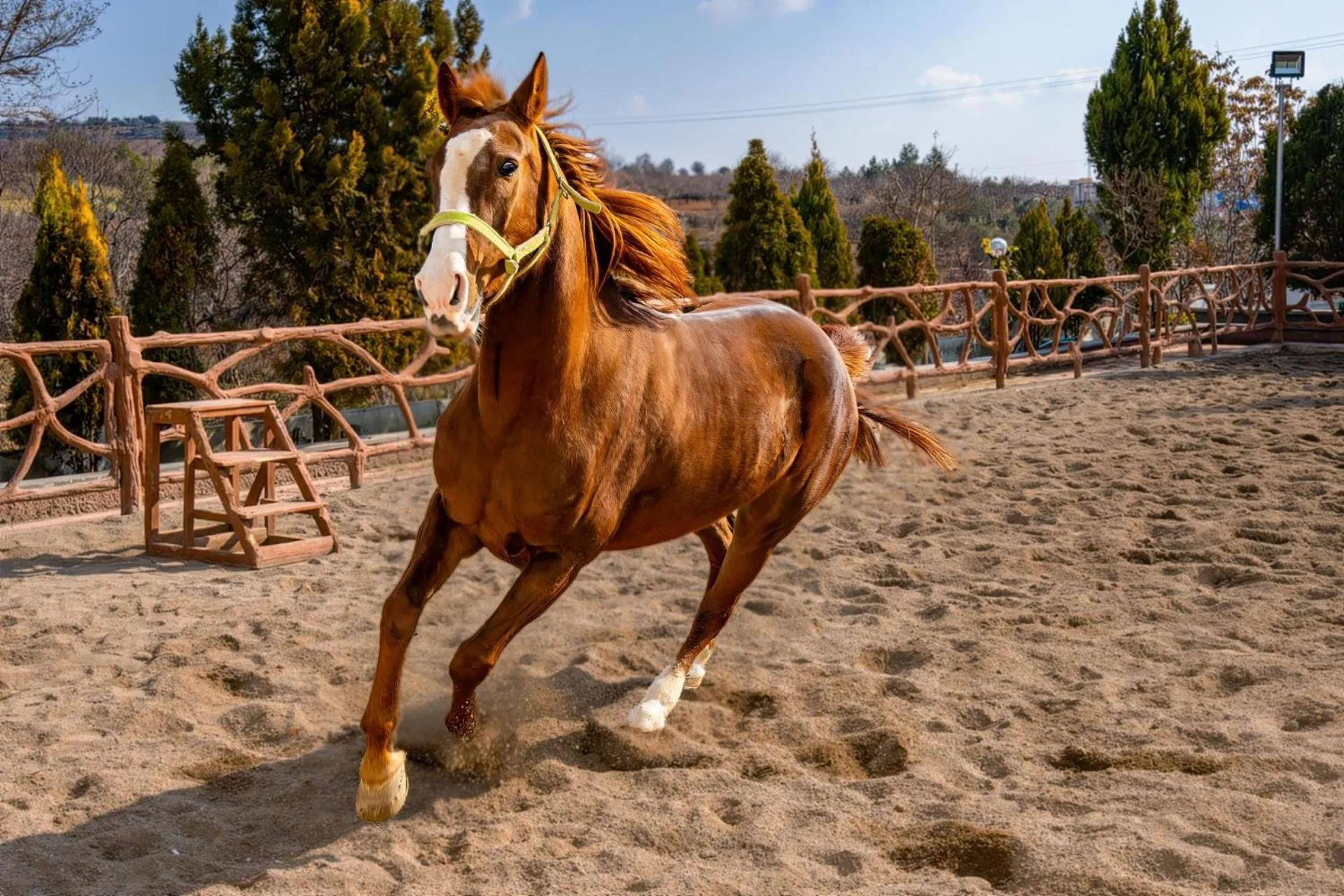 Horse-riding in Ugurlu Termal Tatil Köyü
