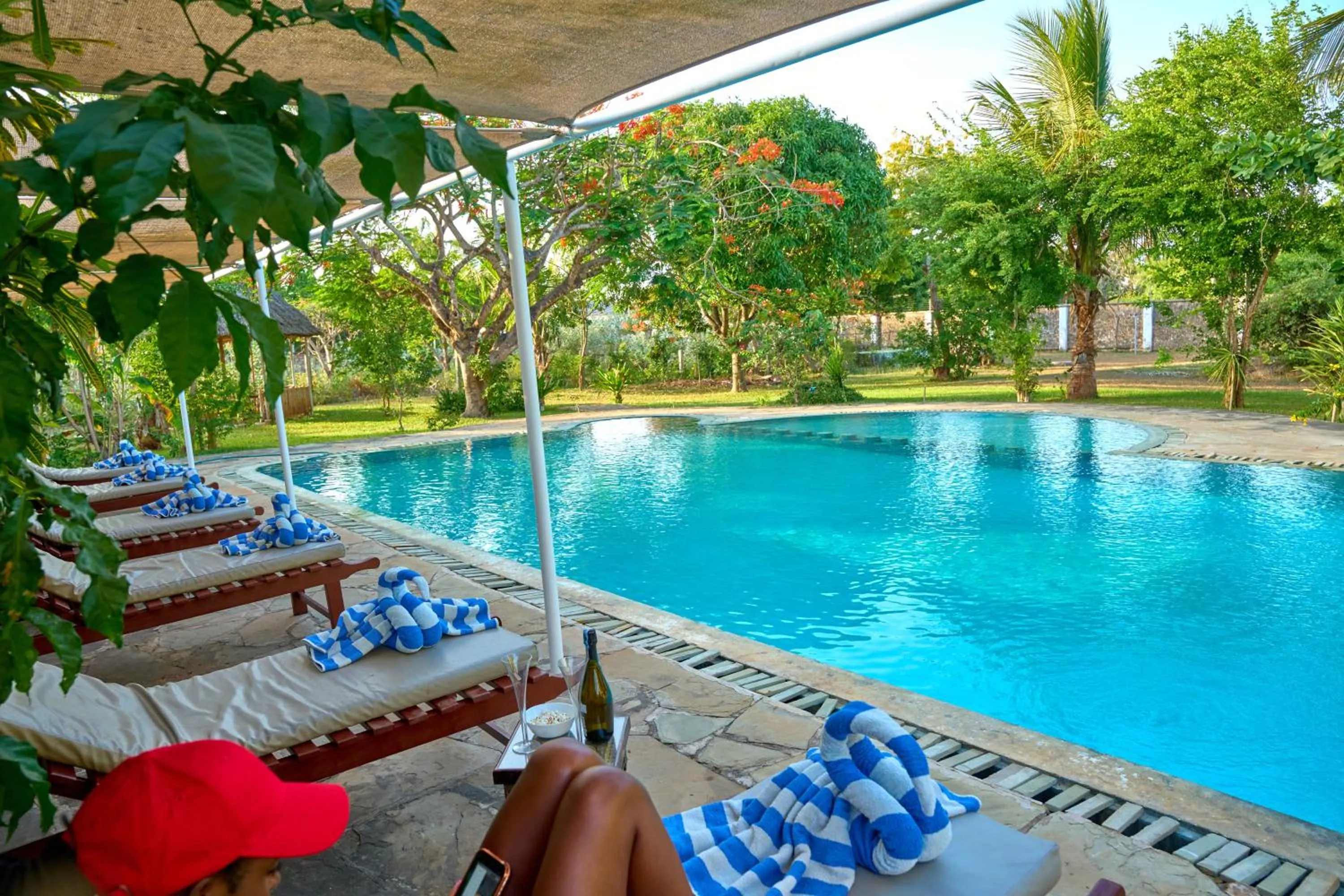 Swimming pool in Flametree Beach Homes