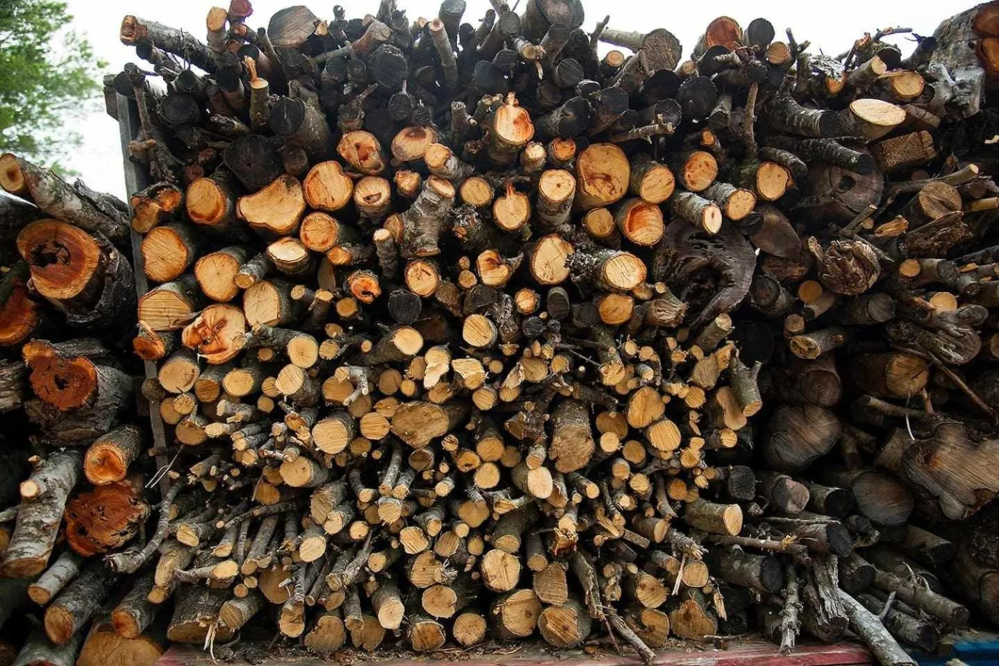 BBQ facilities in B&B Masía Aitona