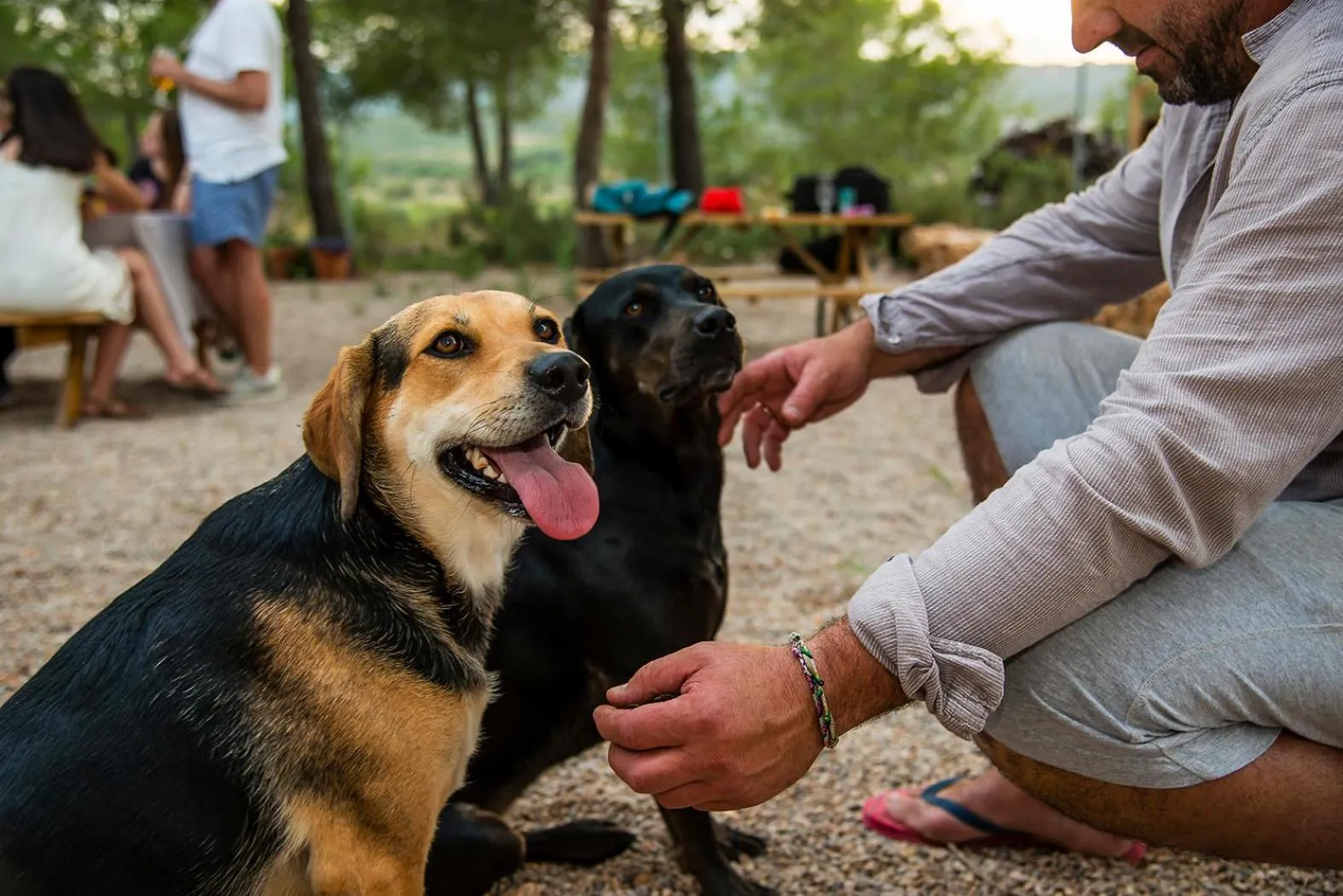 Animals in B&B Masía Aitona