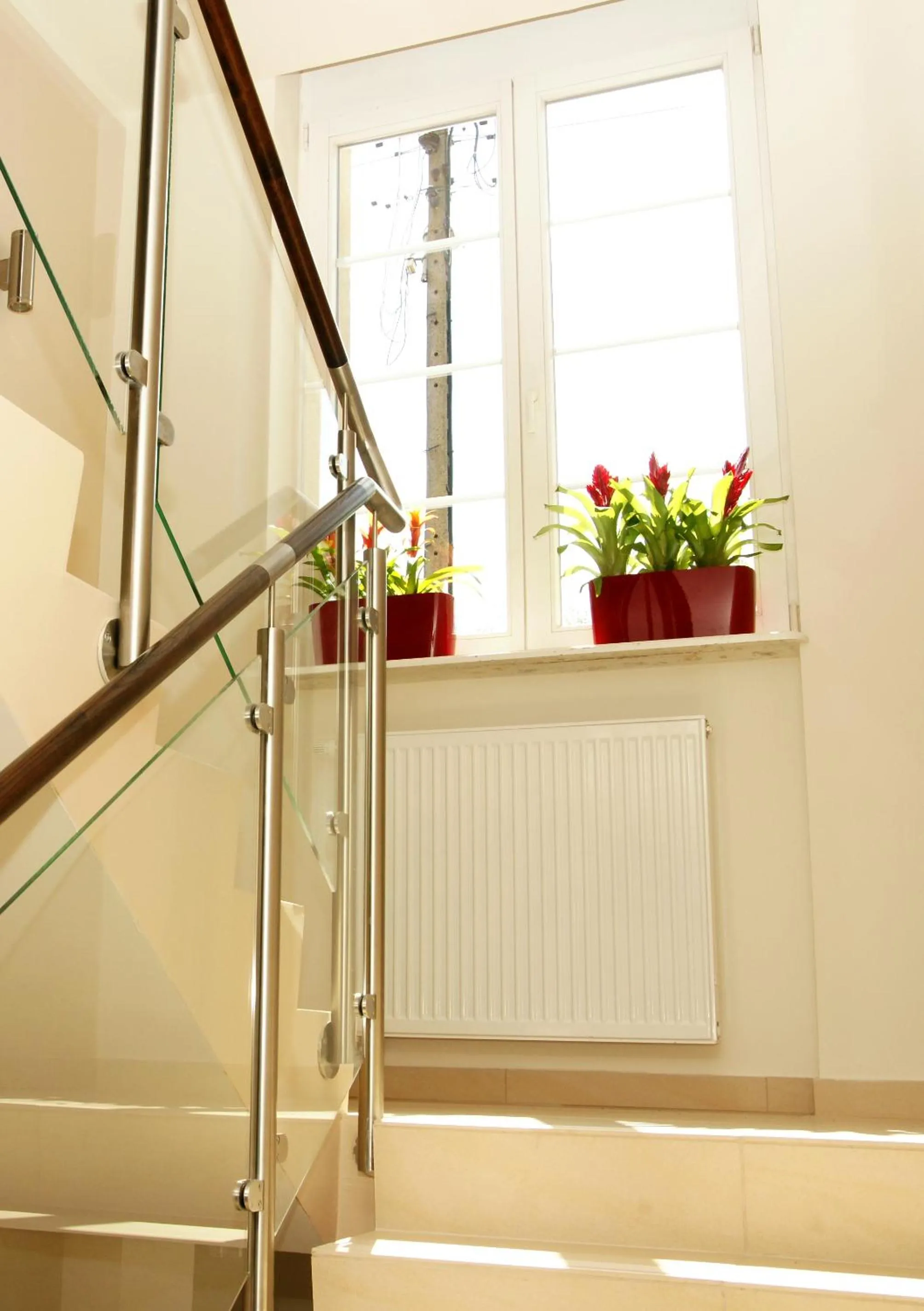 Other in City Center House Elephant