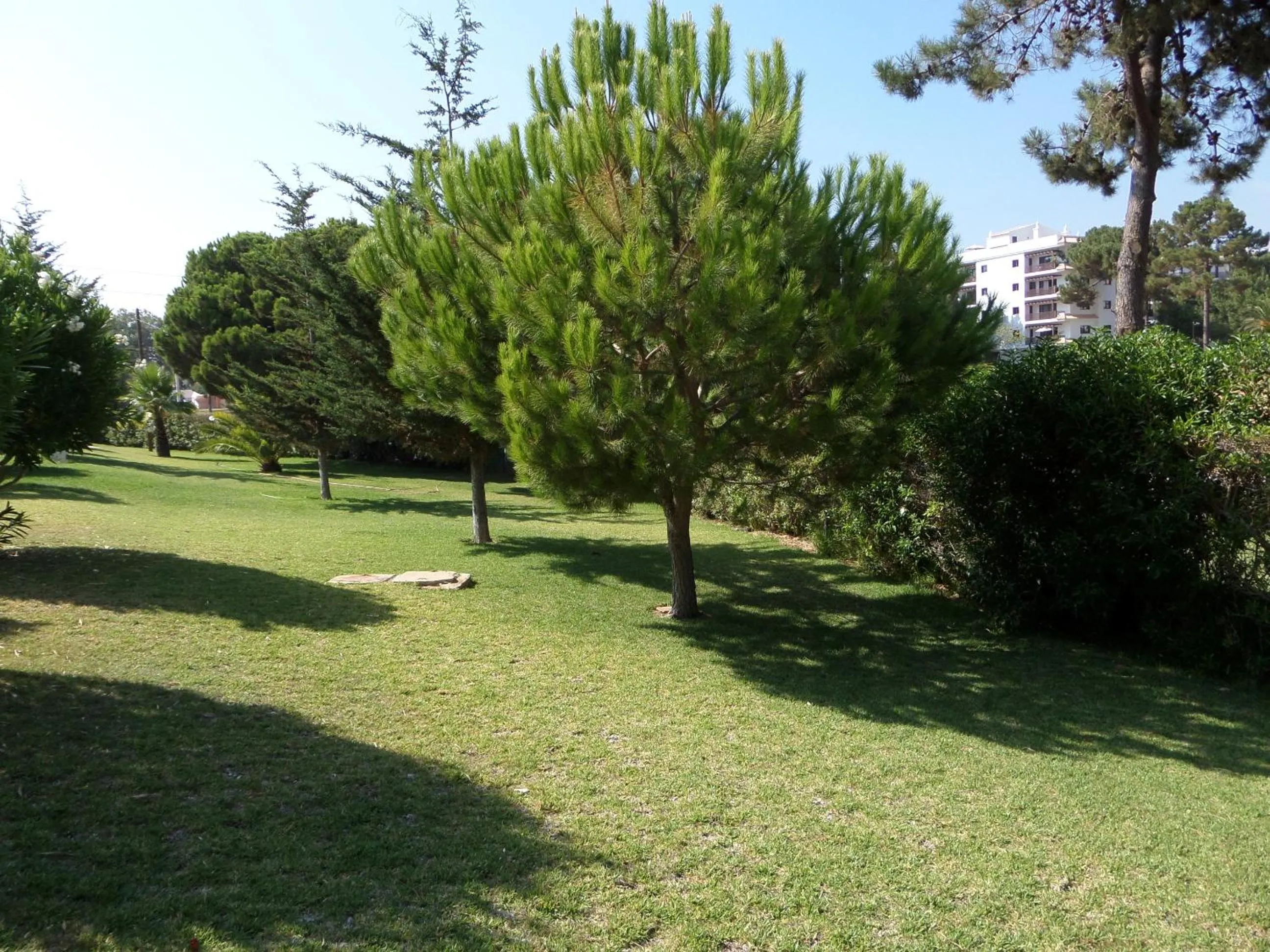 Garden in Aldeia Da Falesia